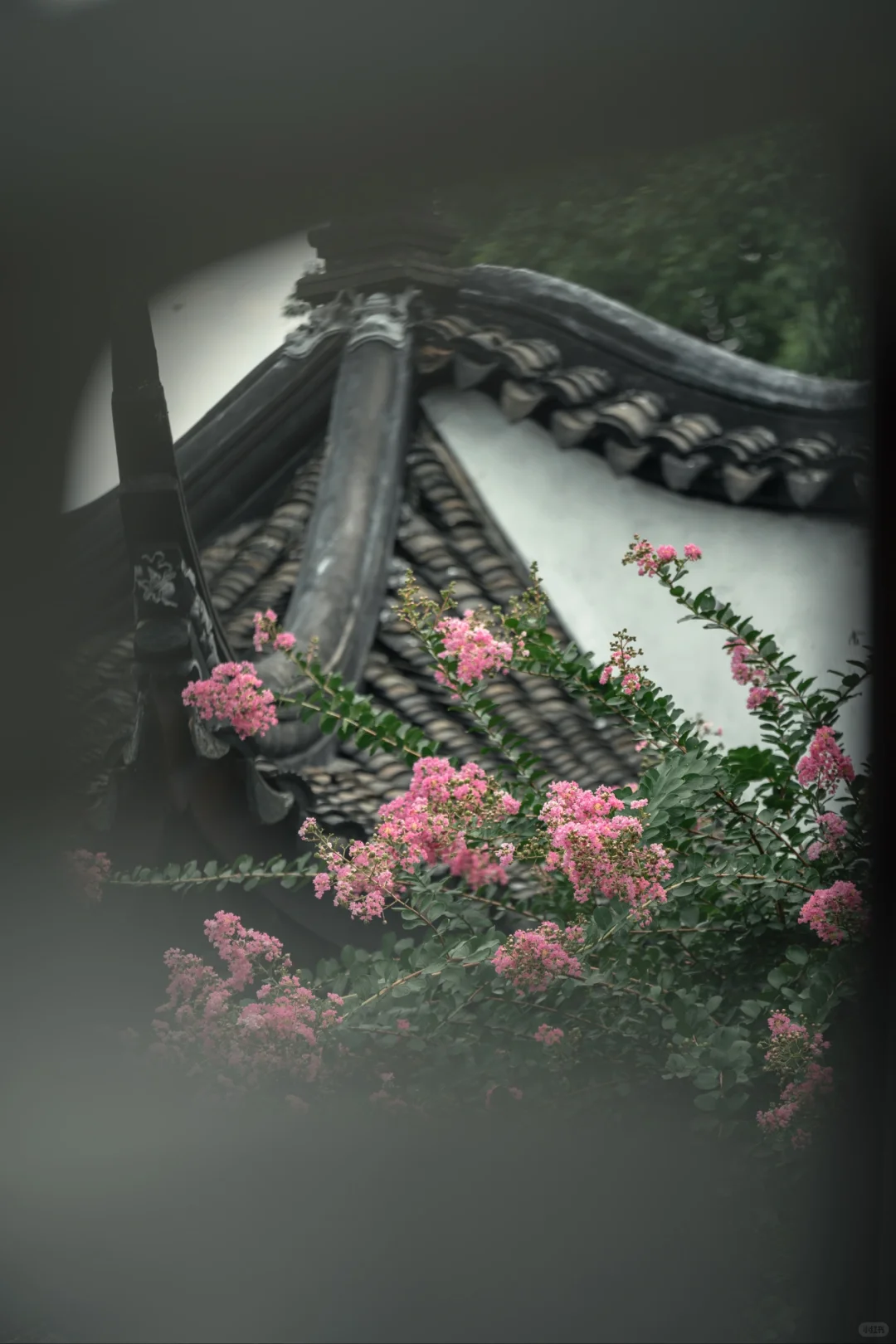 86.webp