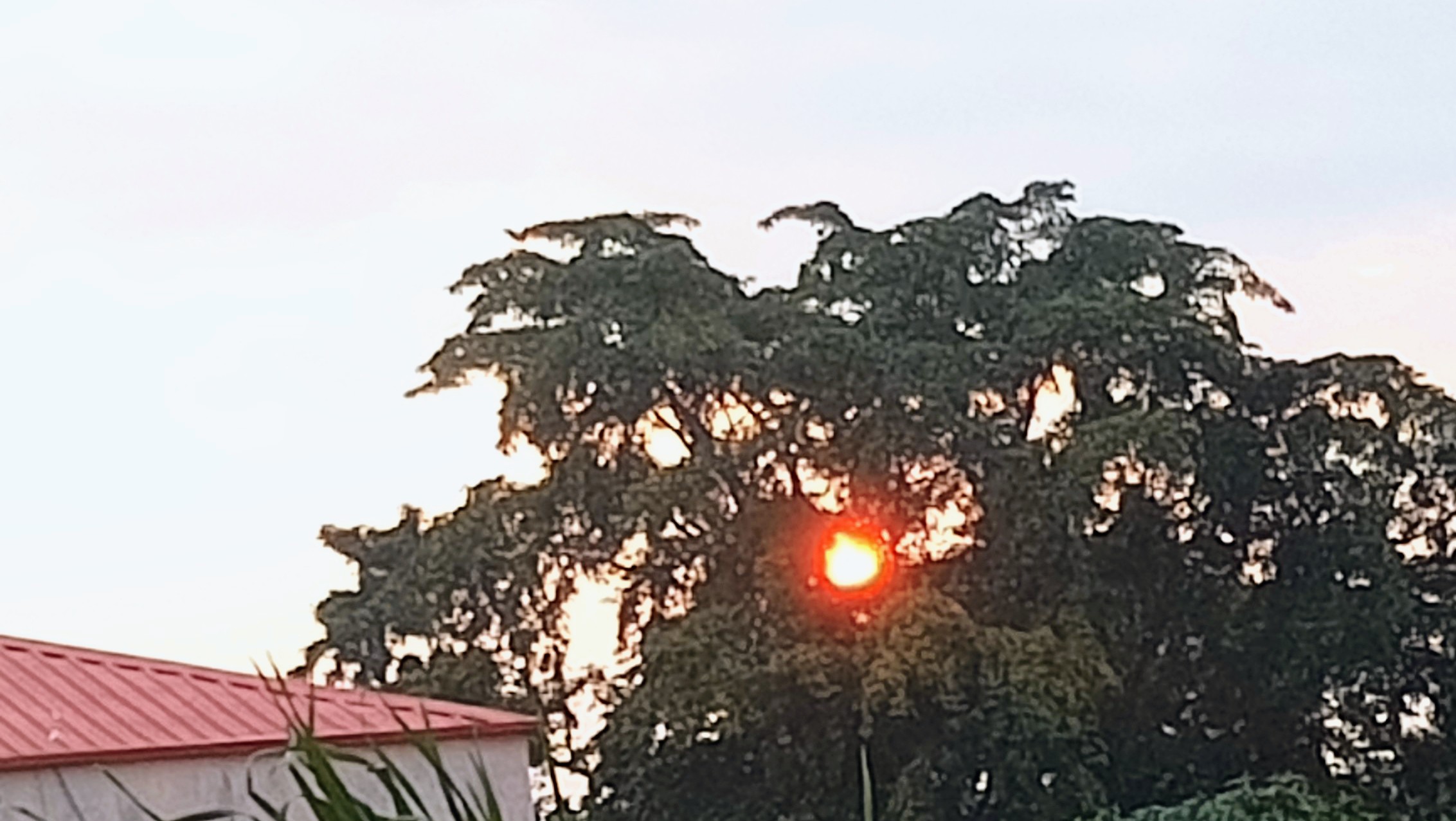 1000466772.jpg