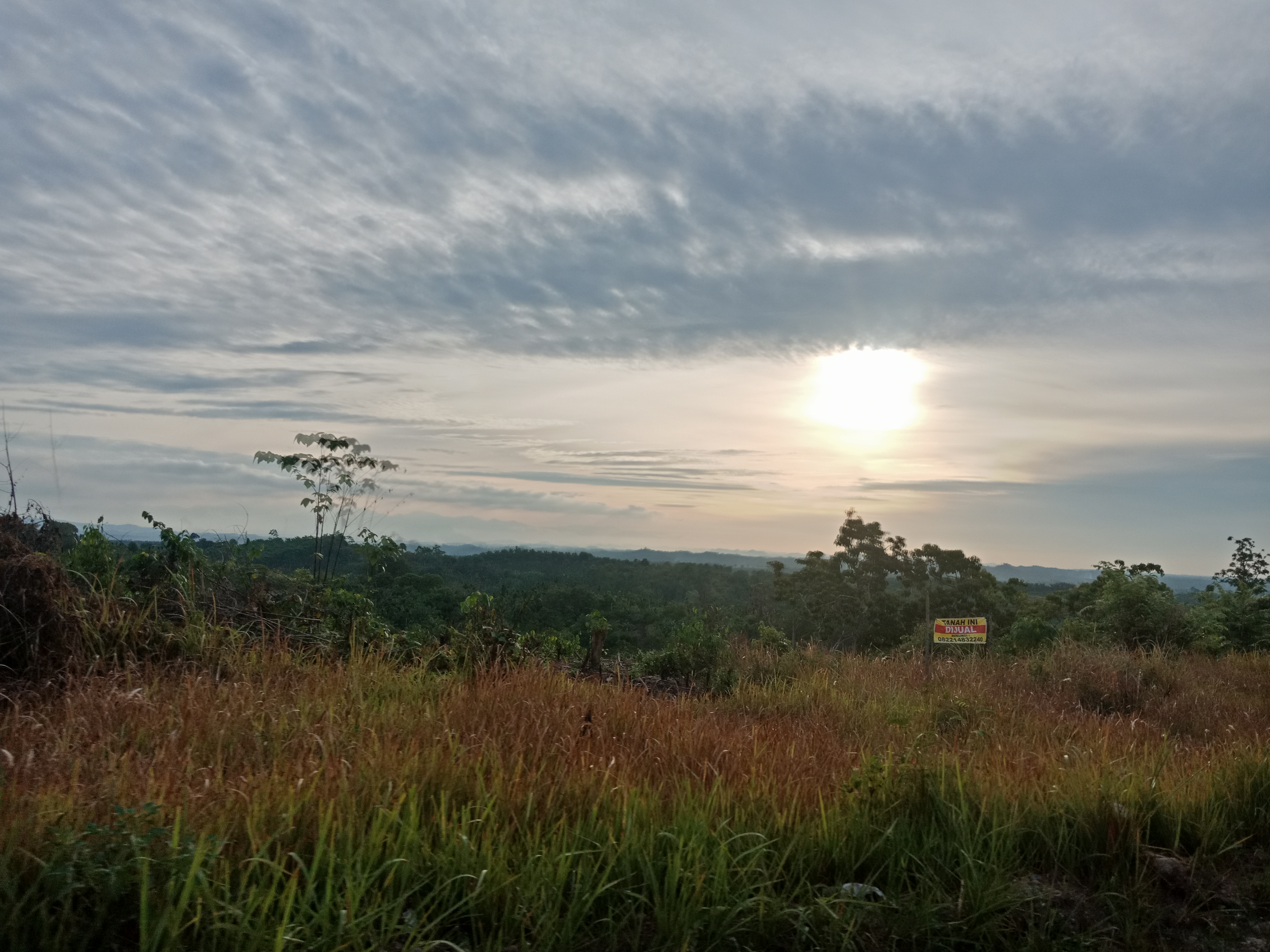 IMG20230910175216.jpg