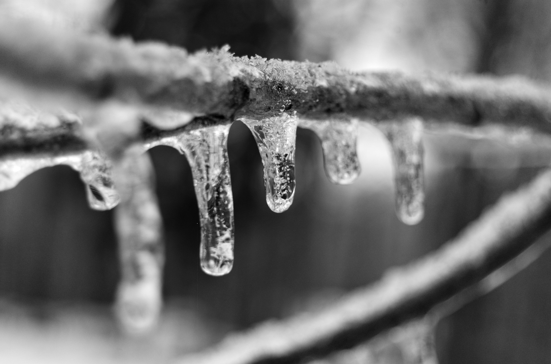 DSC_0996.jpg
