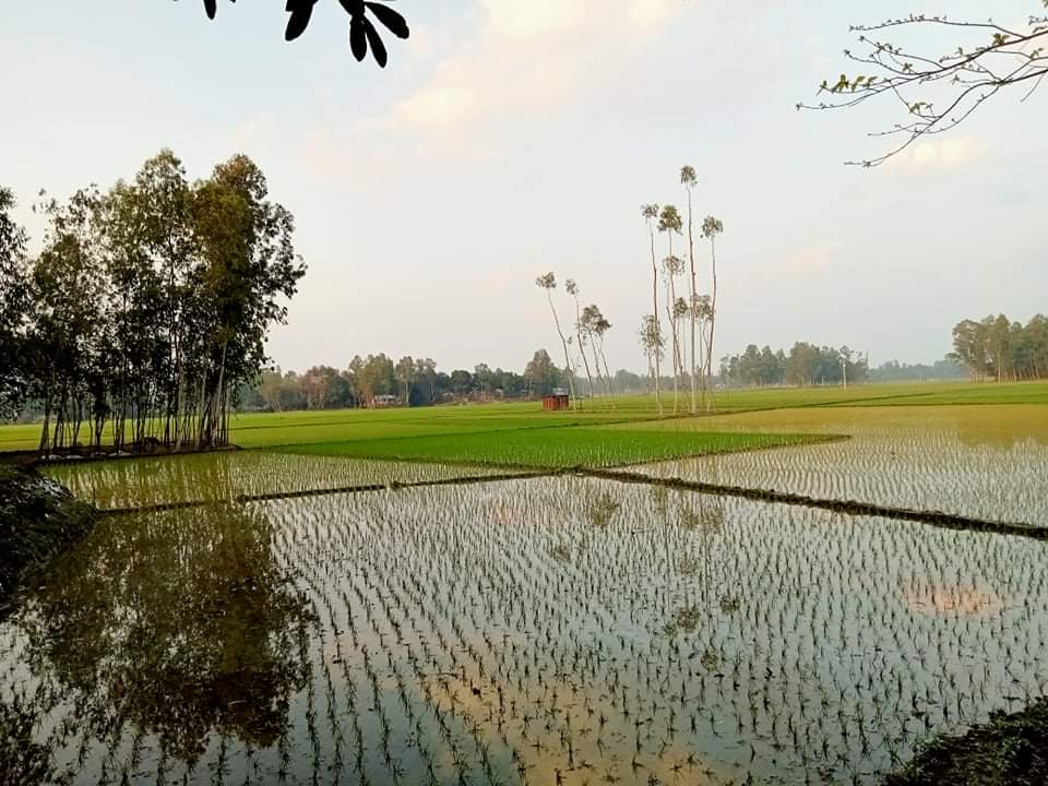 received_338018024730462.jpeg