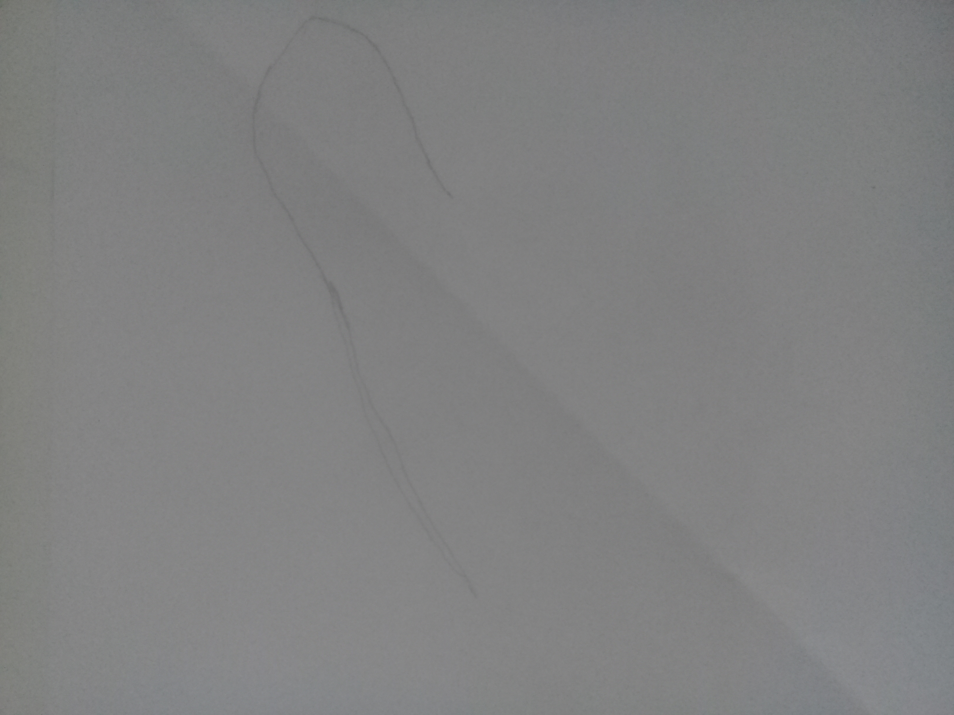 20210313_130803.jpg