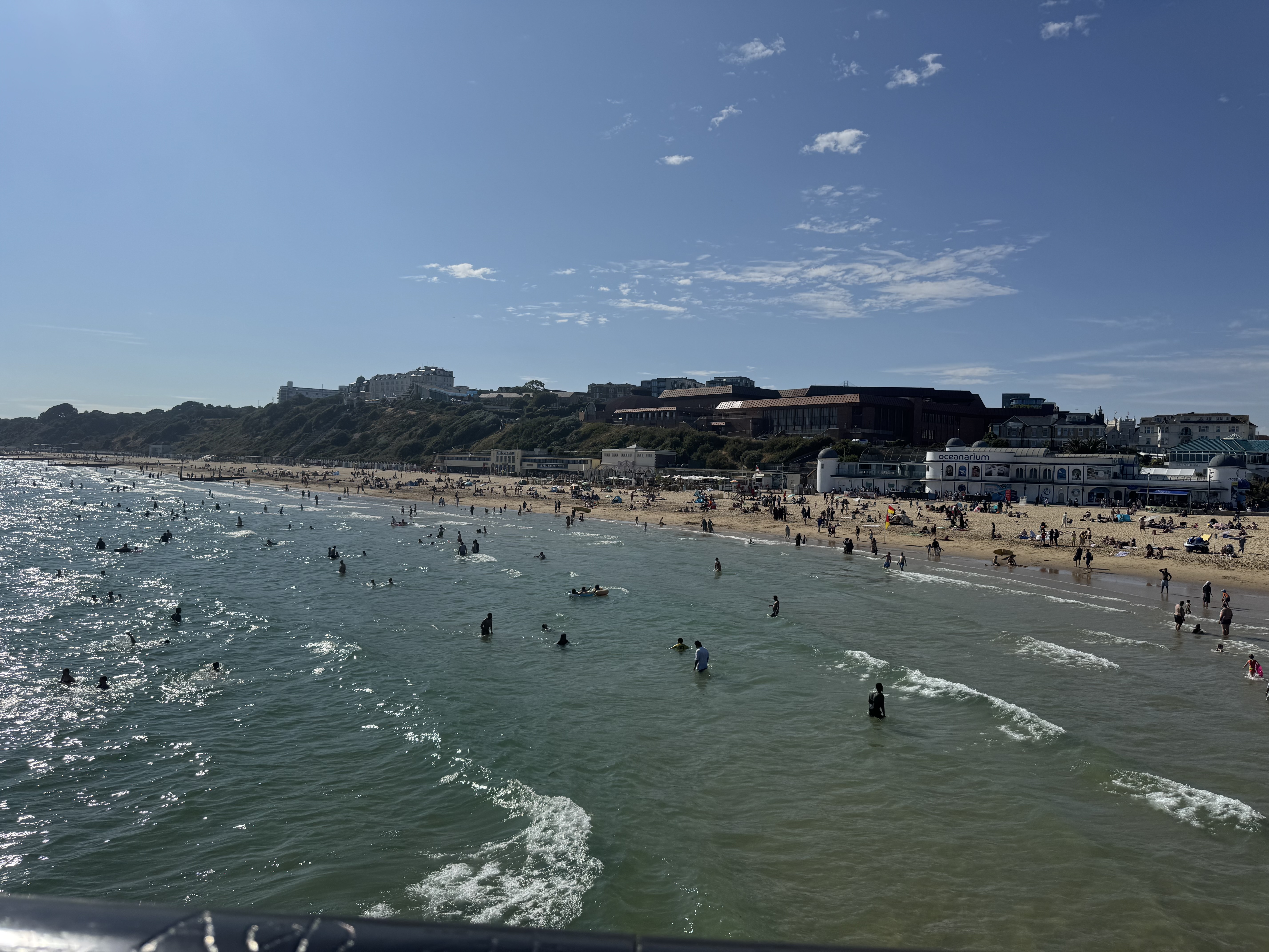 IMG_4116.jpeg