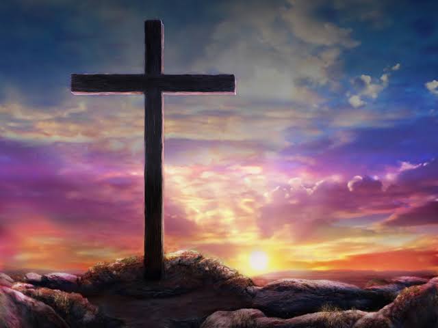 images (11).jpeg