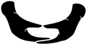 Cosmic Mudra.png