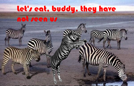 Imagen2.png