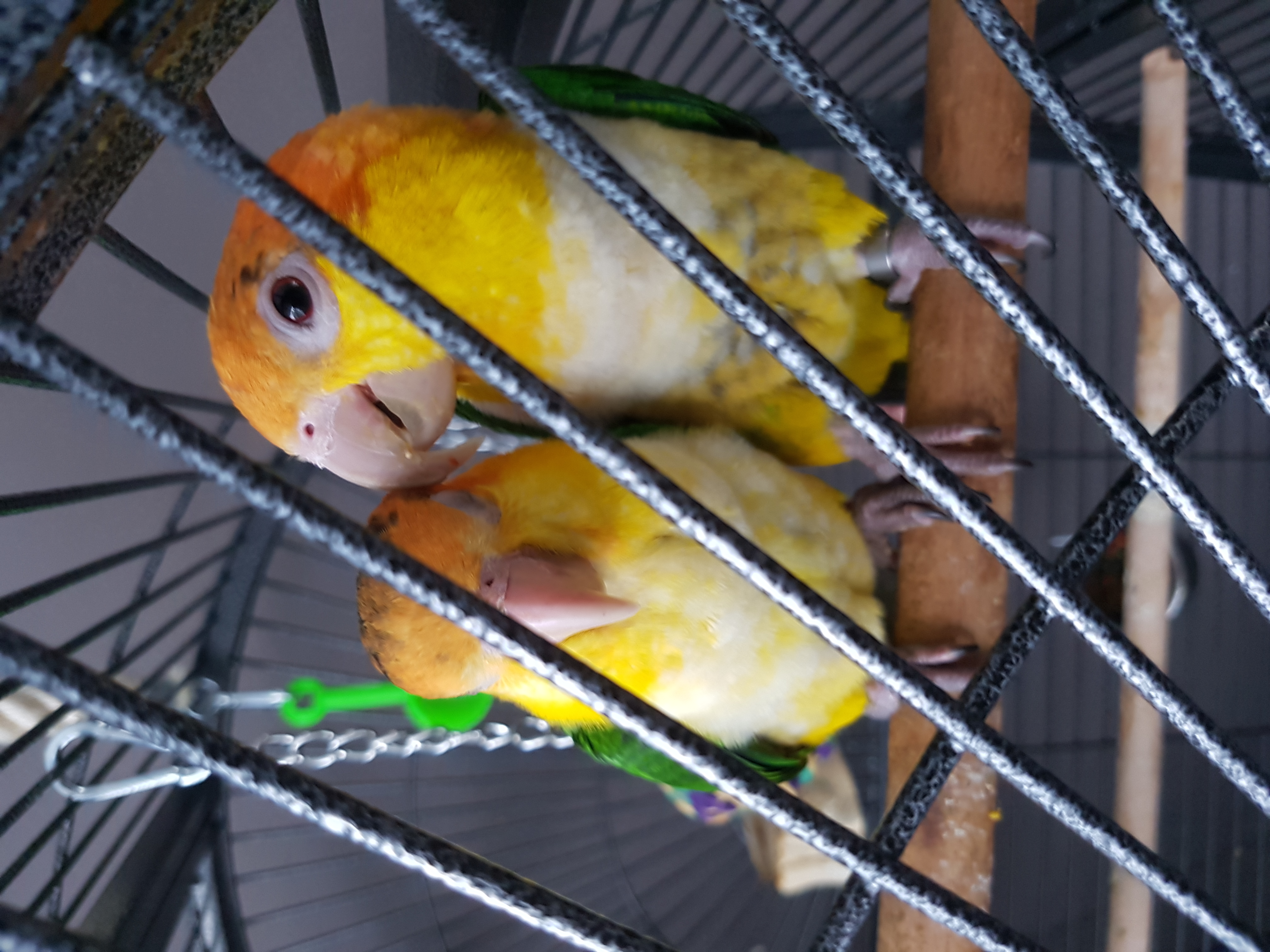 20170226_094311.jpg
