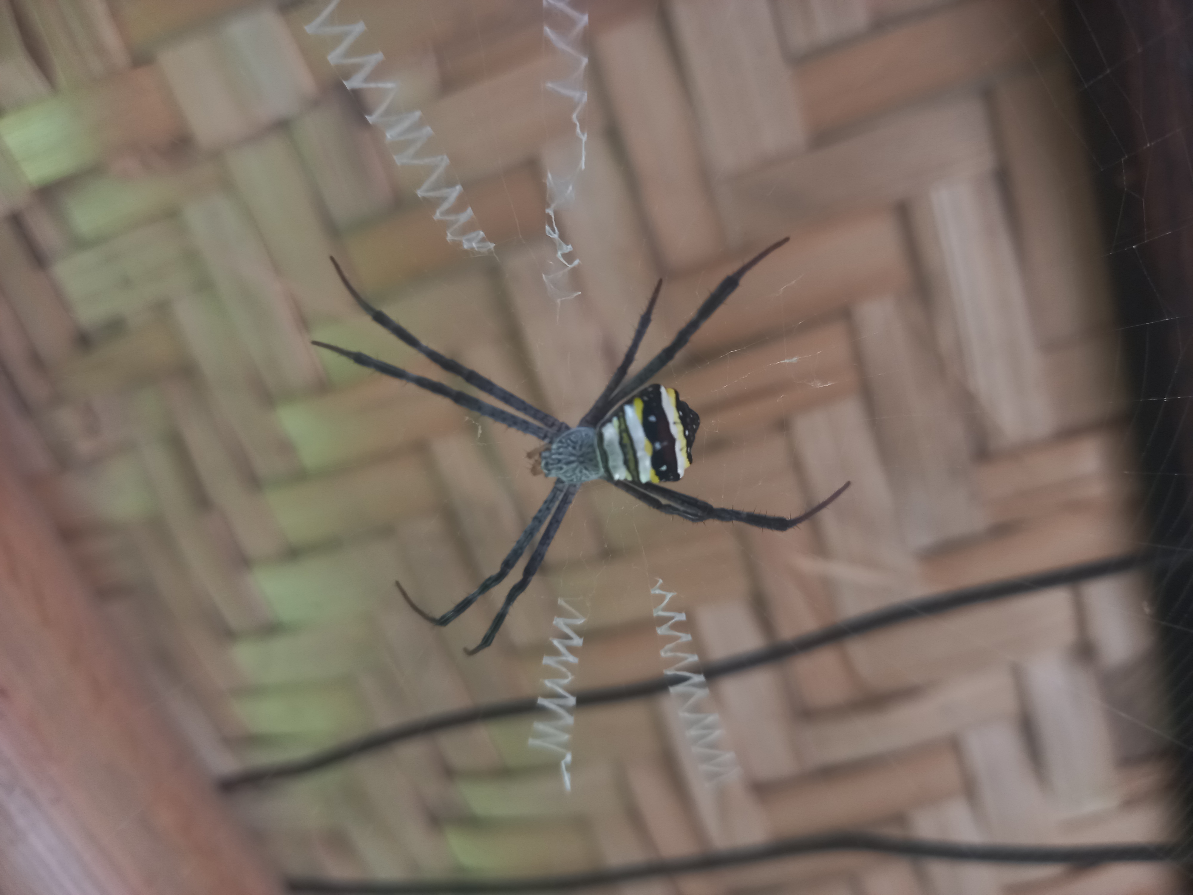 1000103392.jpg