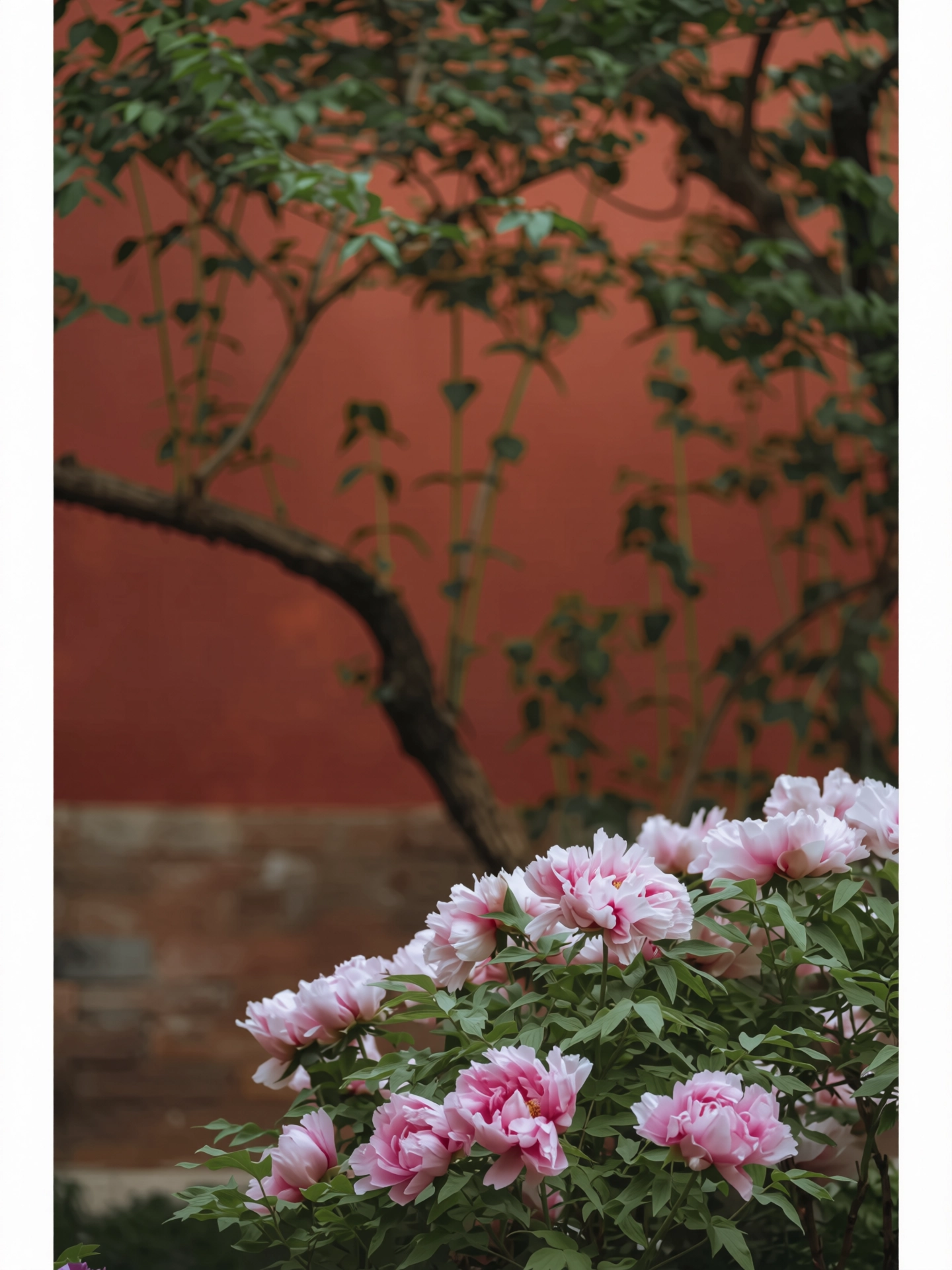 225.webp