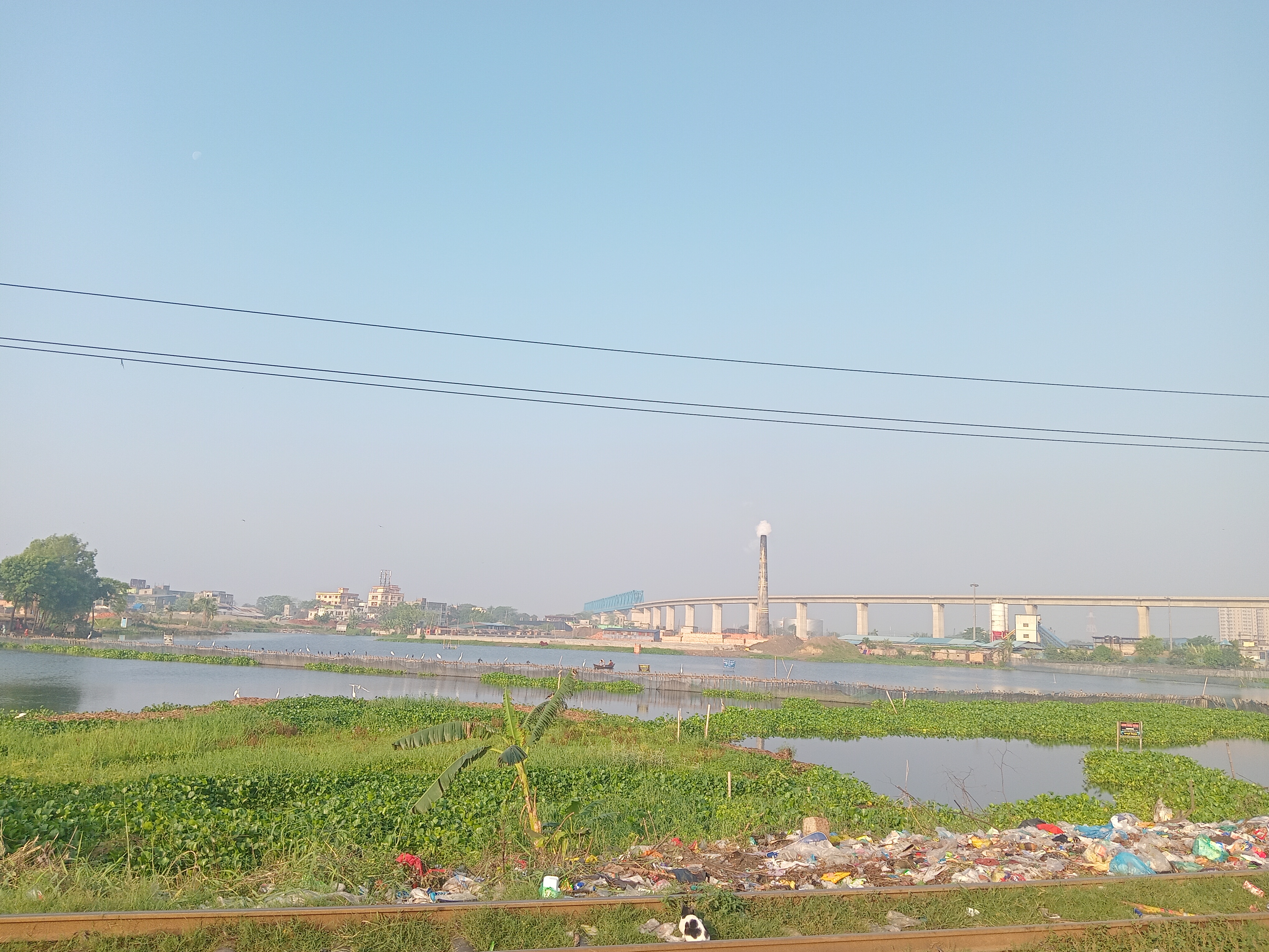 20260408_071217.jpg