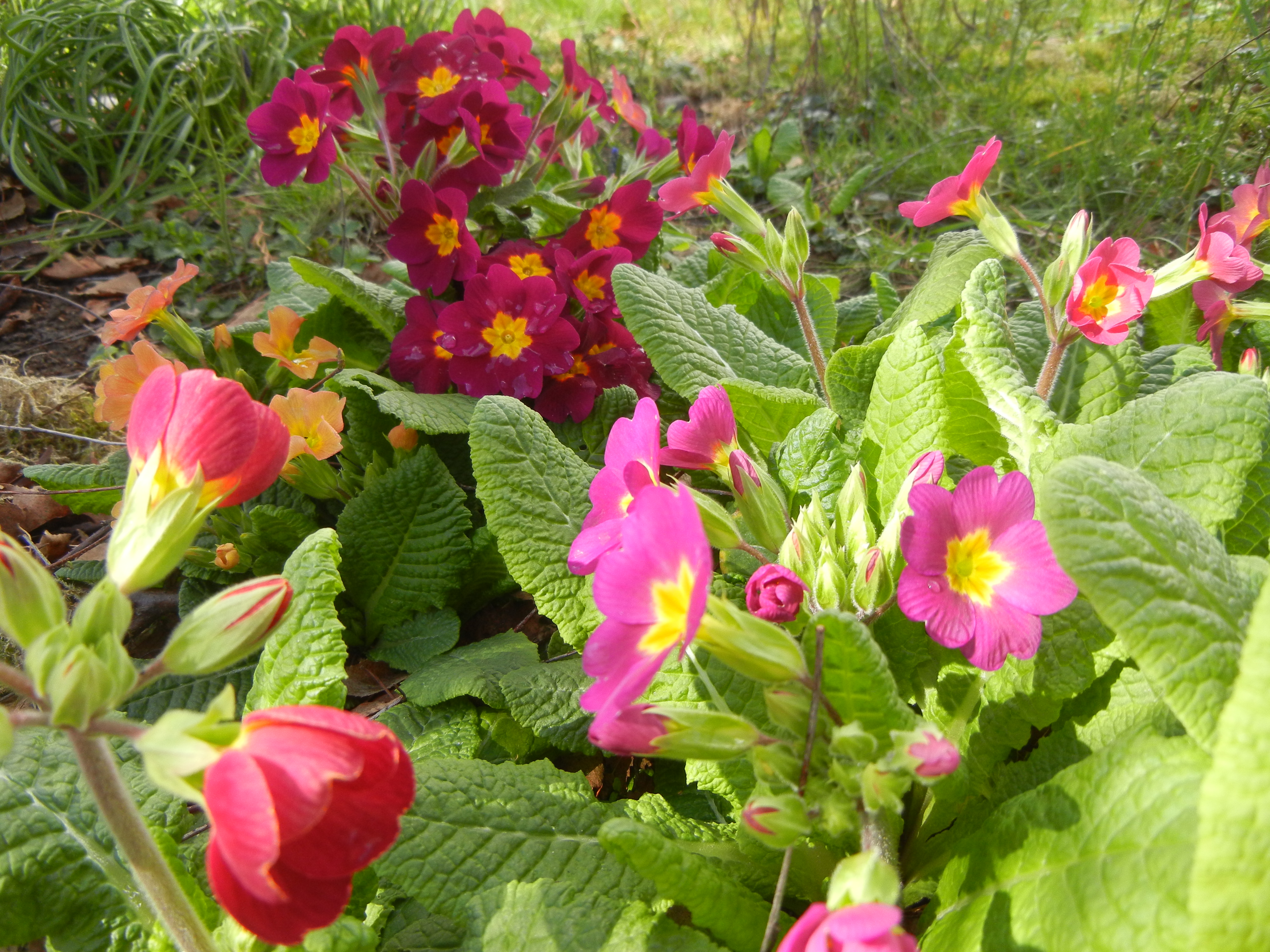 DSCN2084.JPG