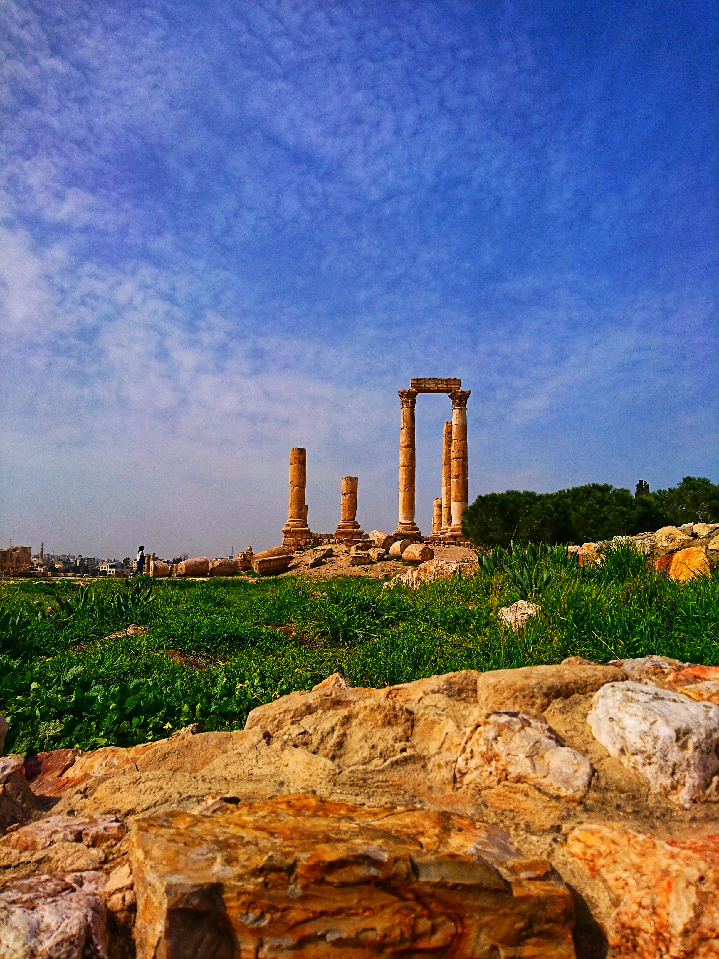 DSC_0946-01.jpeg