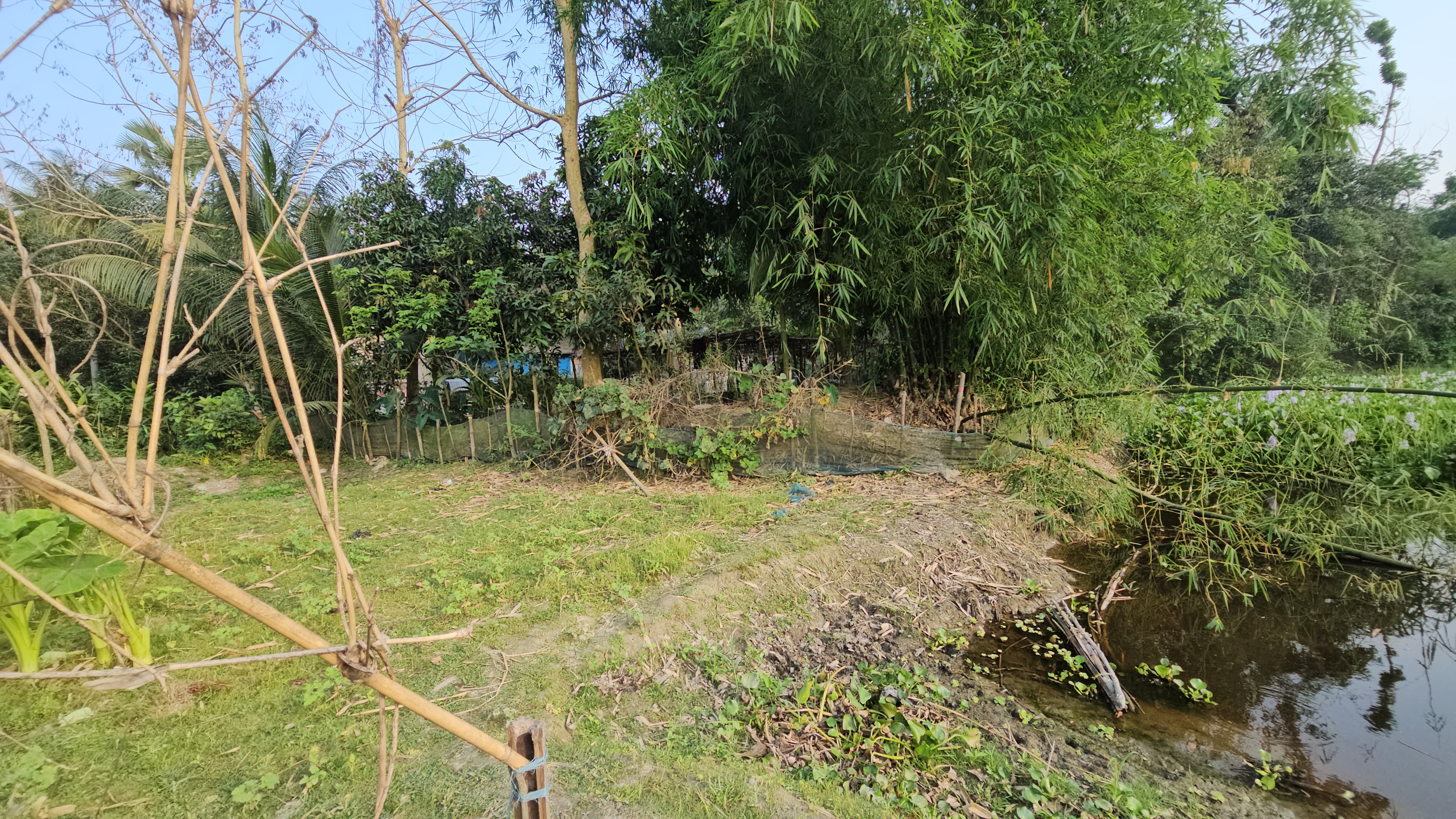20260419_163021.jpg