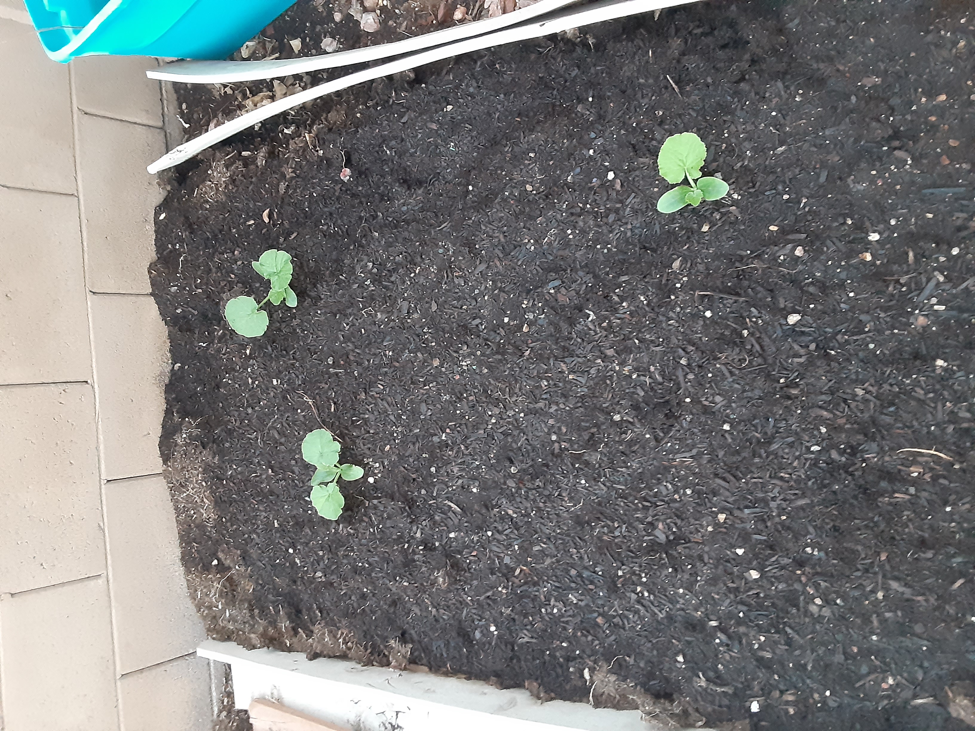 20201007_063036.jpg