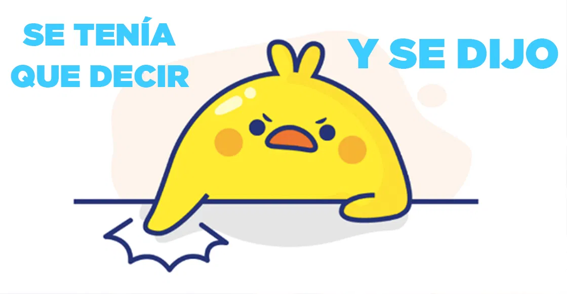 pollito-meme.webp