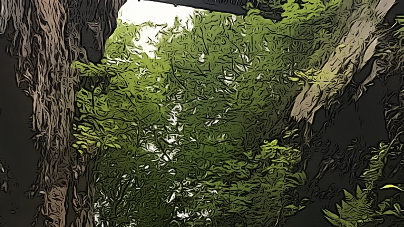 Untitled design - 2019-02-28T052459.301 (1).png