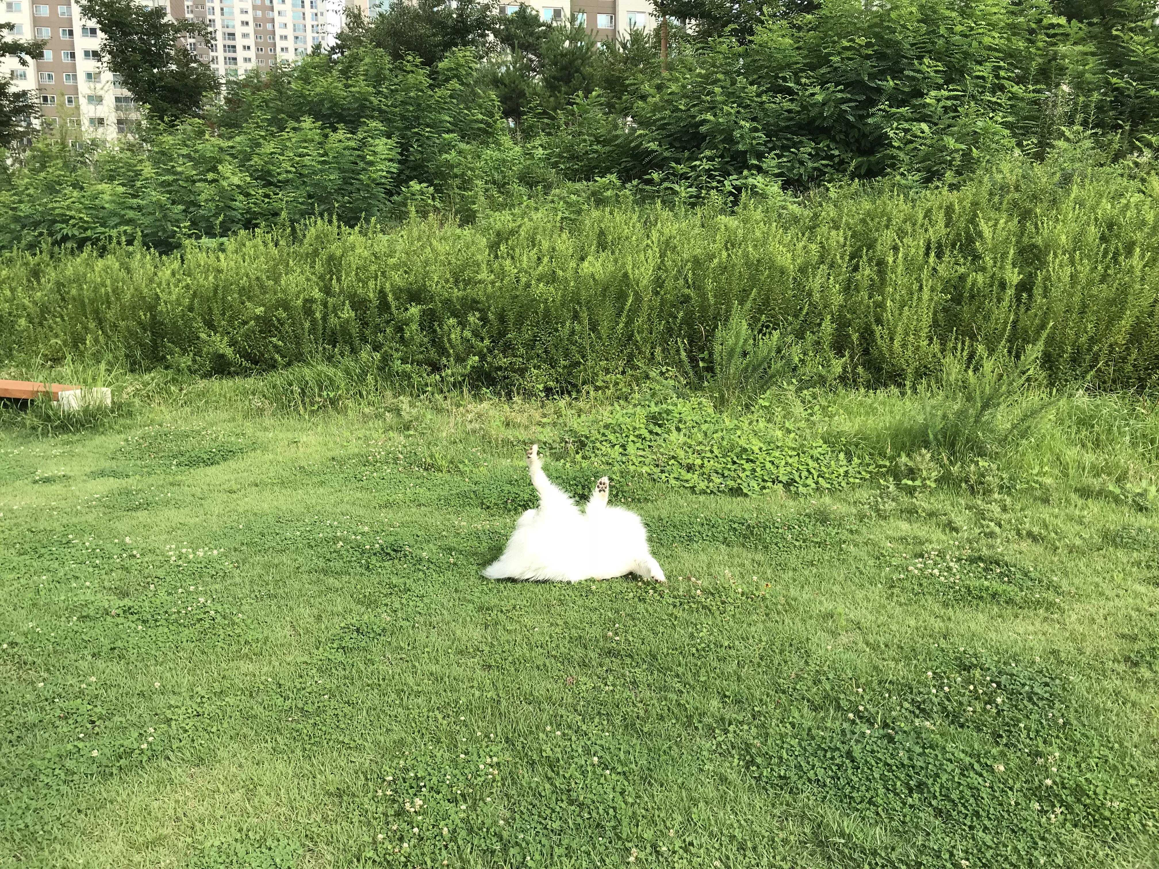 84FD4071-100D-400A-B587-4A5746C90F6F.jpeg