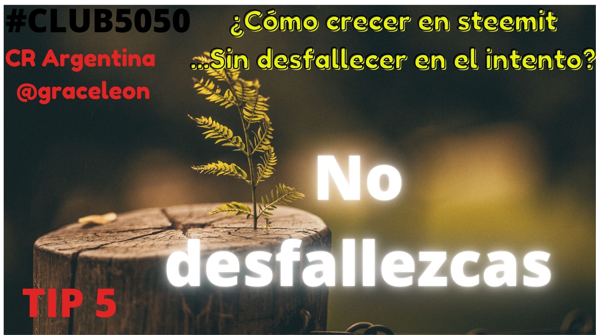Azul y Rosa Personas Coloreadas Ilustraciones Reglas del Aula y Etiqueta en Línea Educación Presentación (5).jpg