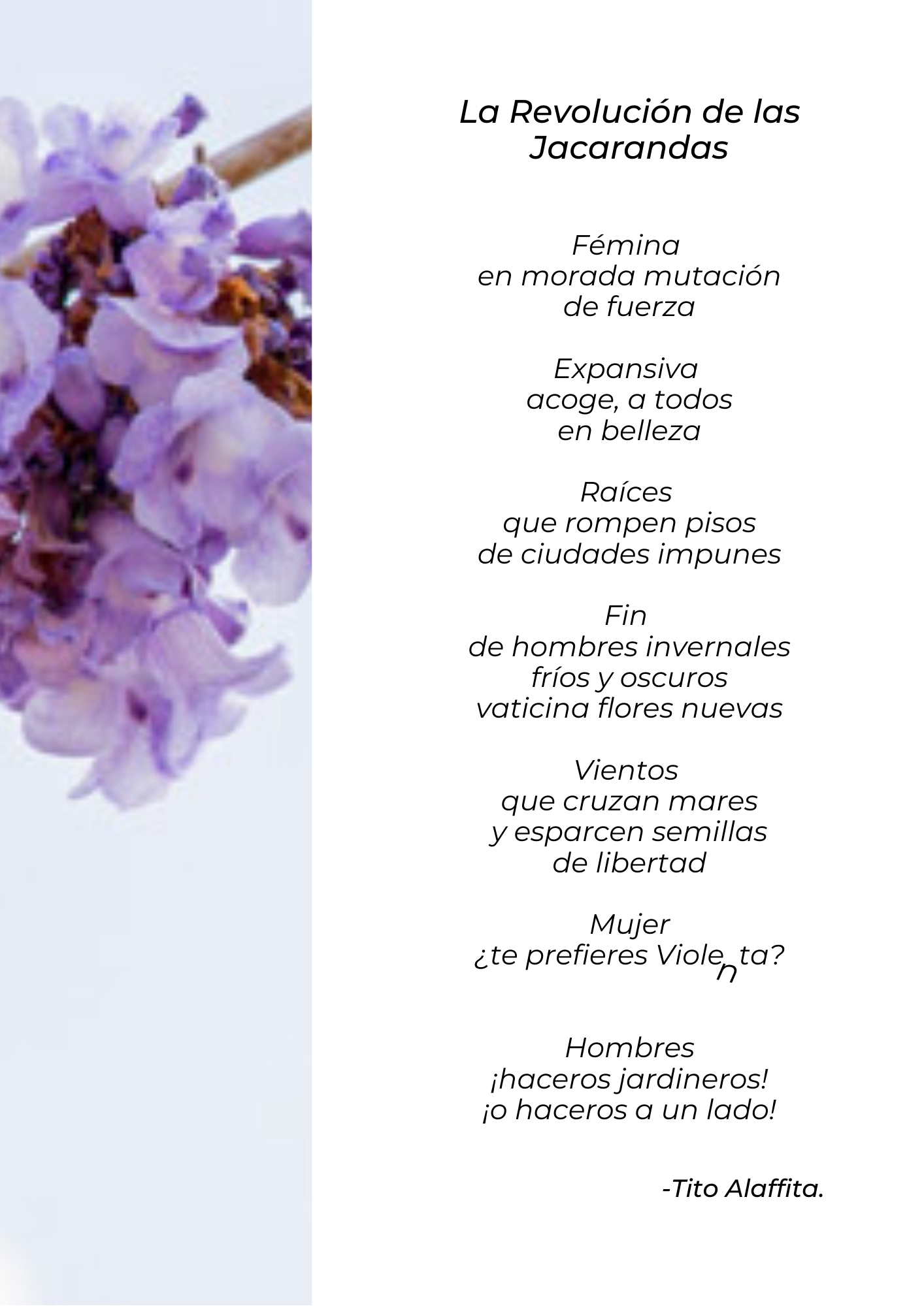 La Revolución de las Jacarandas.png