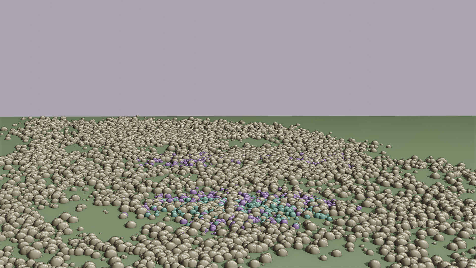 2511a.png
