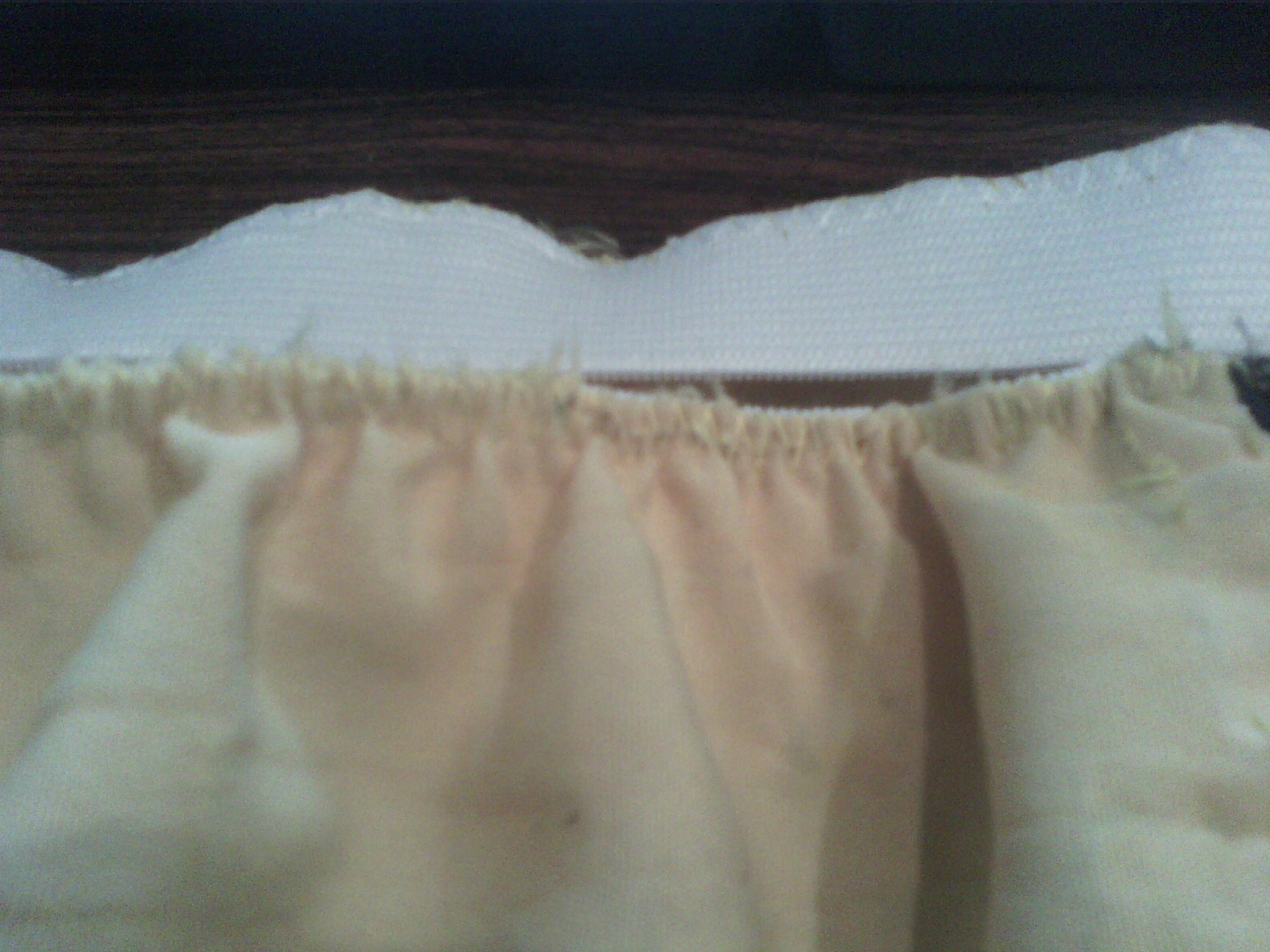 IMG00262.jpg