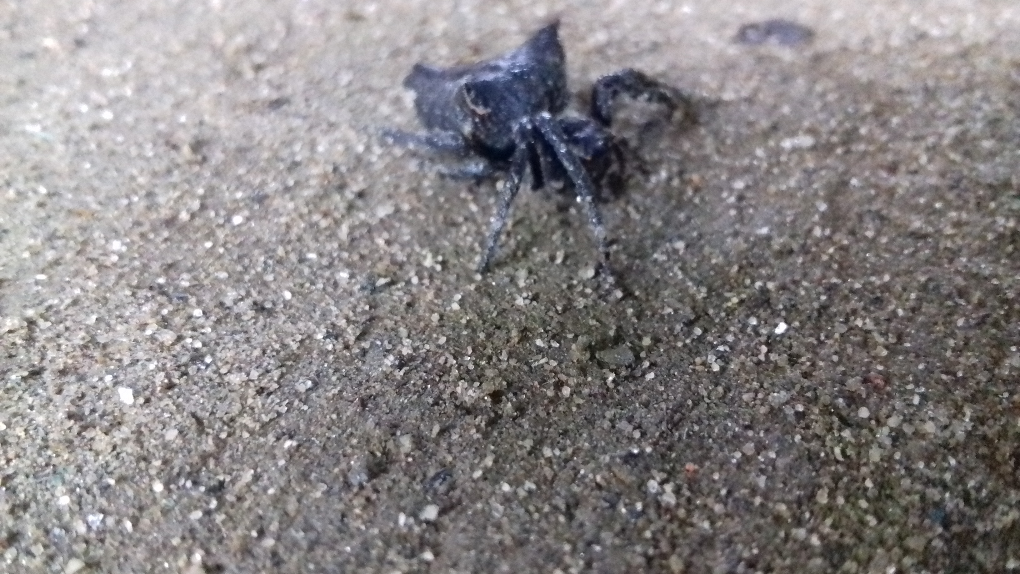 20180731_080432.jpg