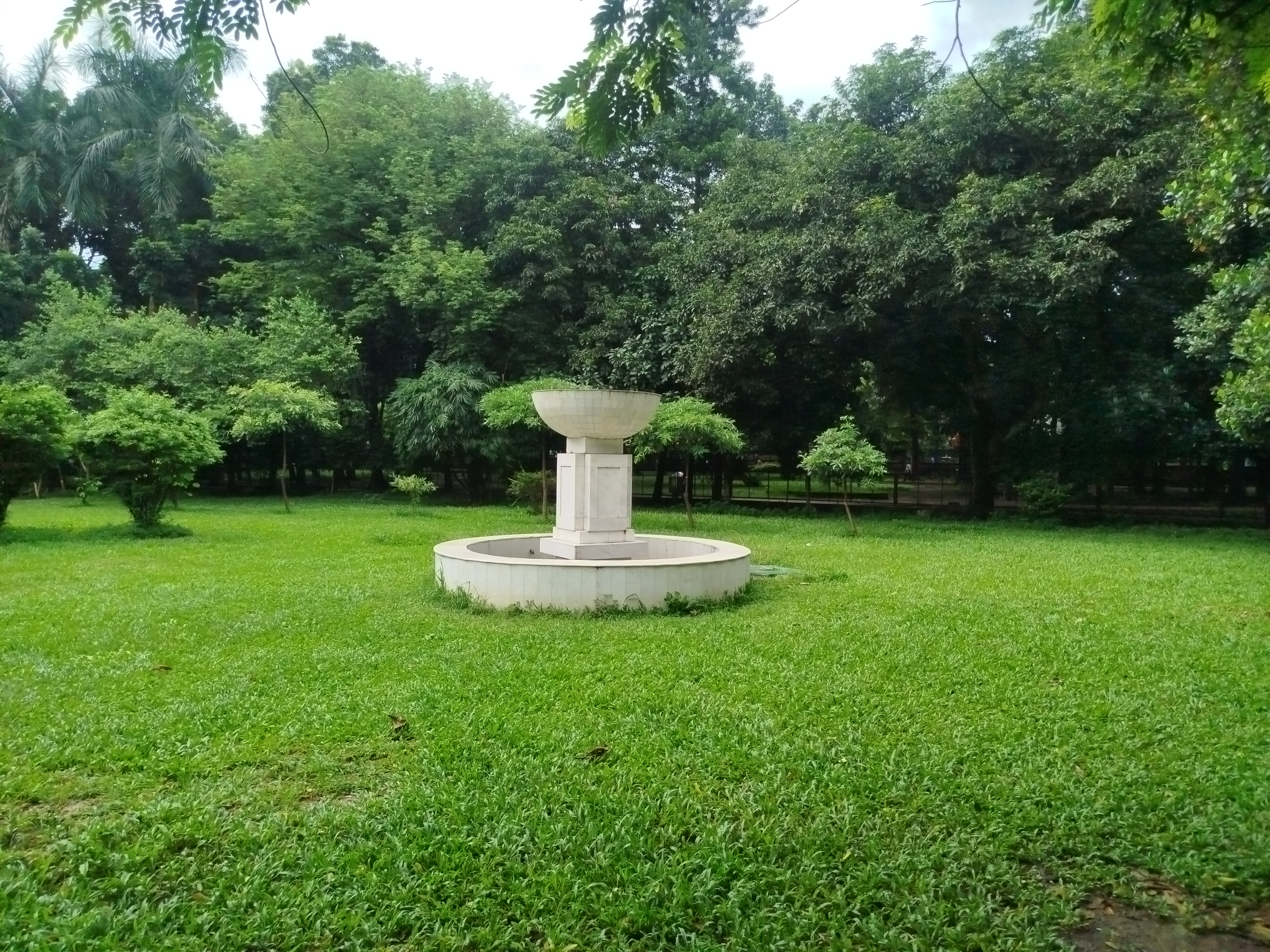IMG_20260812_091726.jpg