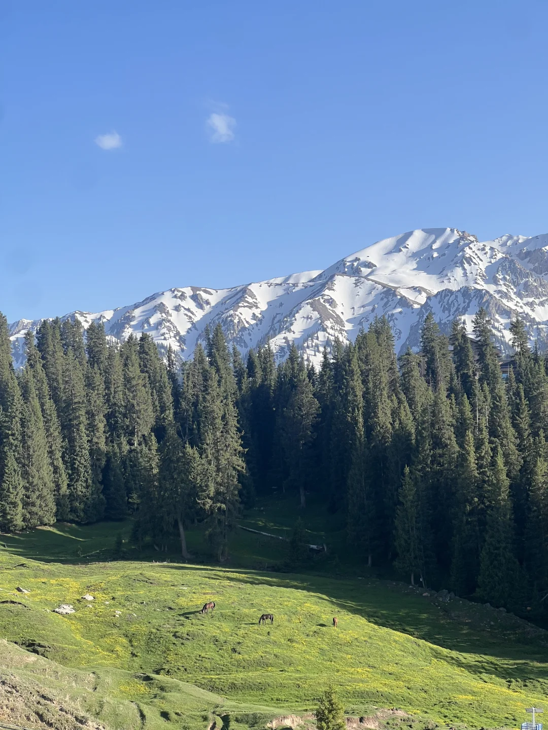 177.webp