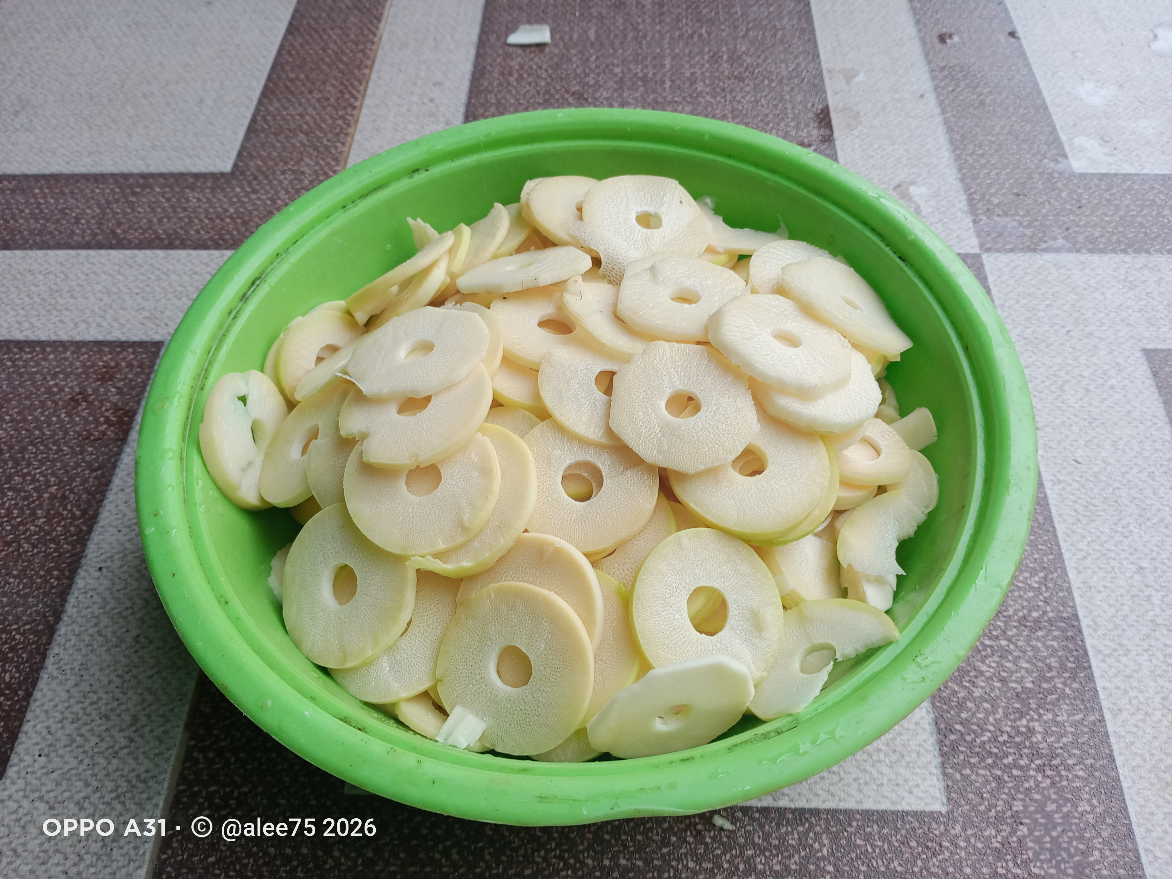 IMG20260903180241.jpg