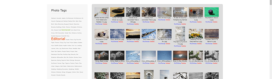 Photo_Tag_Cloud.jpg