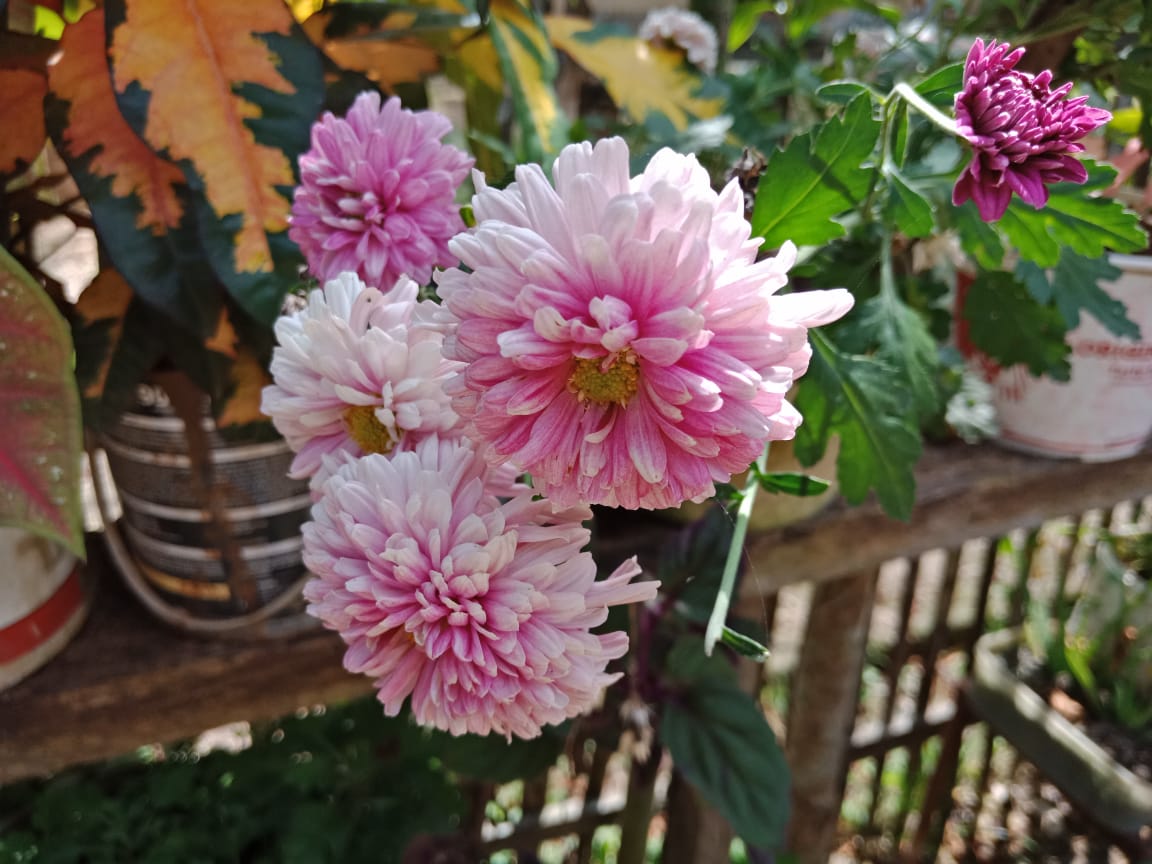 WhatsApp Image 2021-12-15 at 13.39.19(1).jpeg