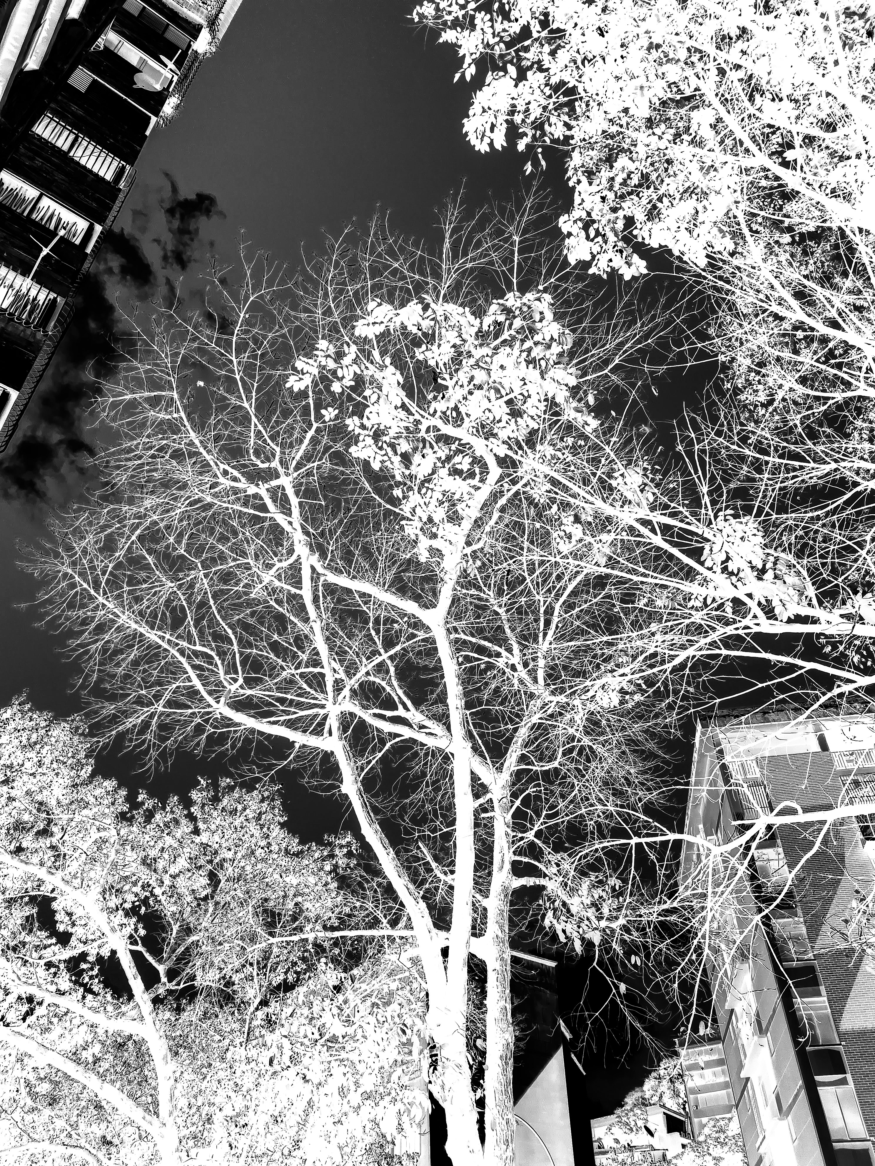 PSX_20200314_131059.jpg