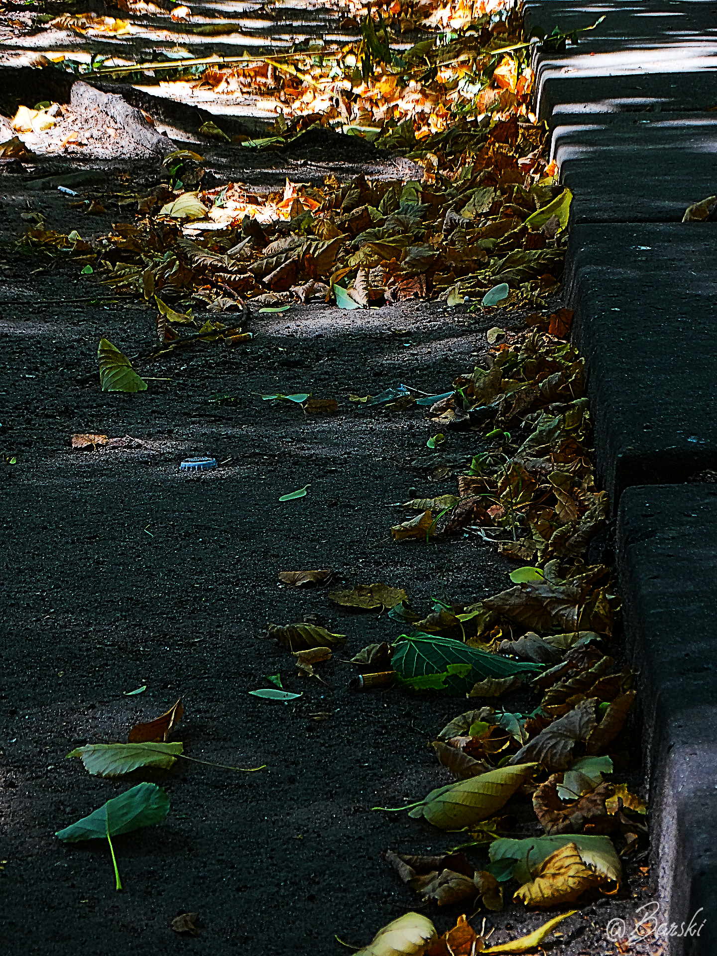 A thief named Autumn.