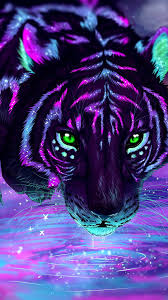 images (4).jpeg