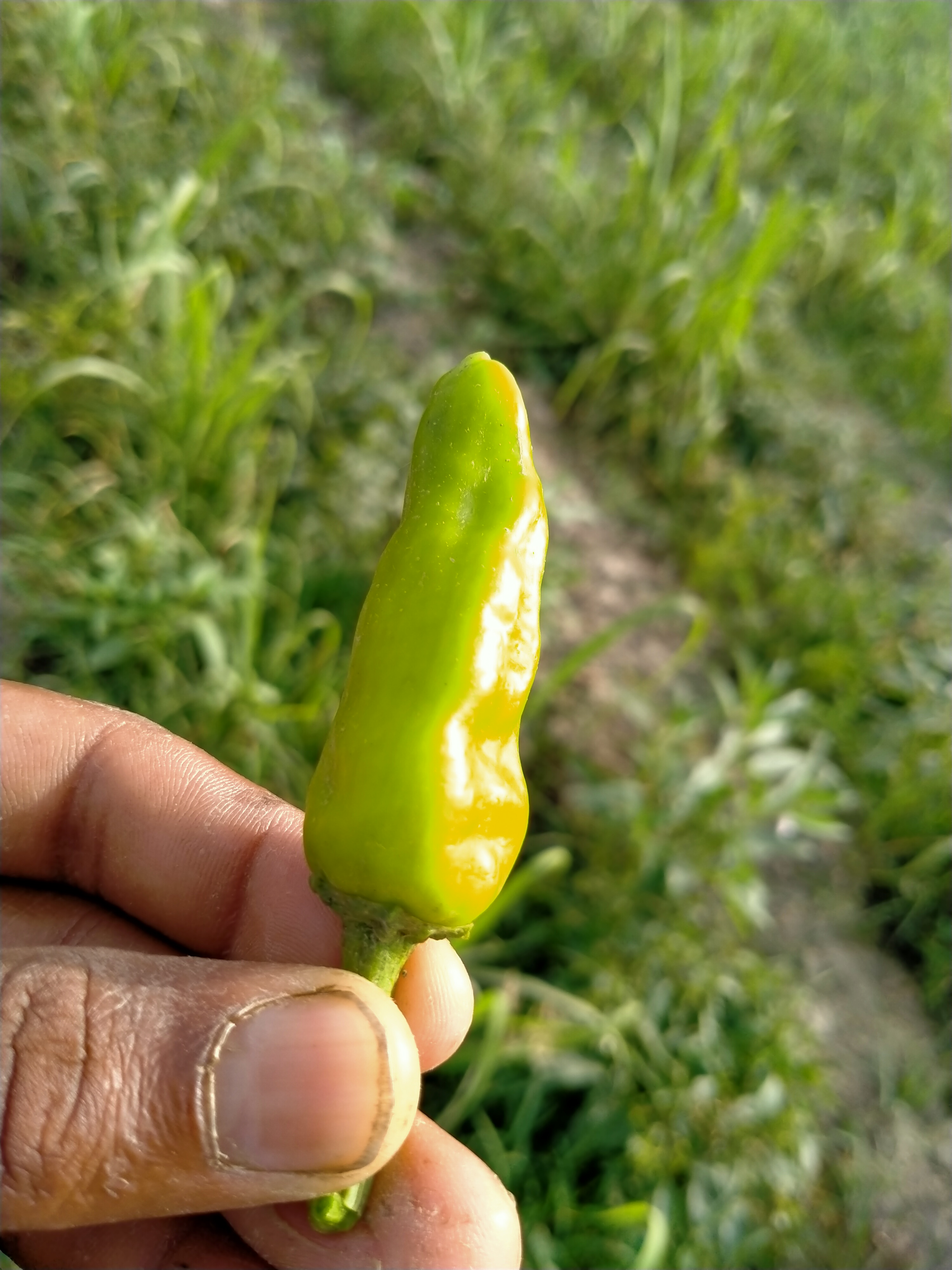 IMG20210529163617.jpg