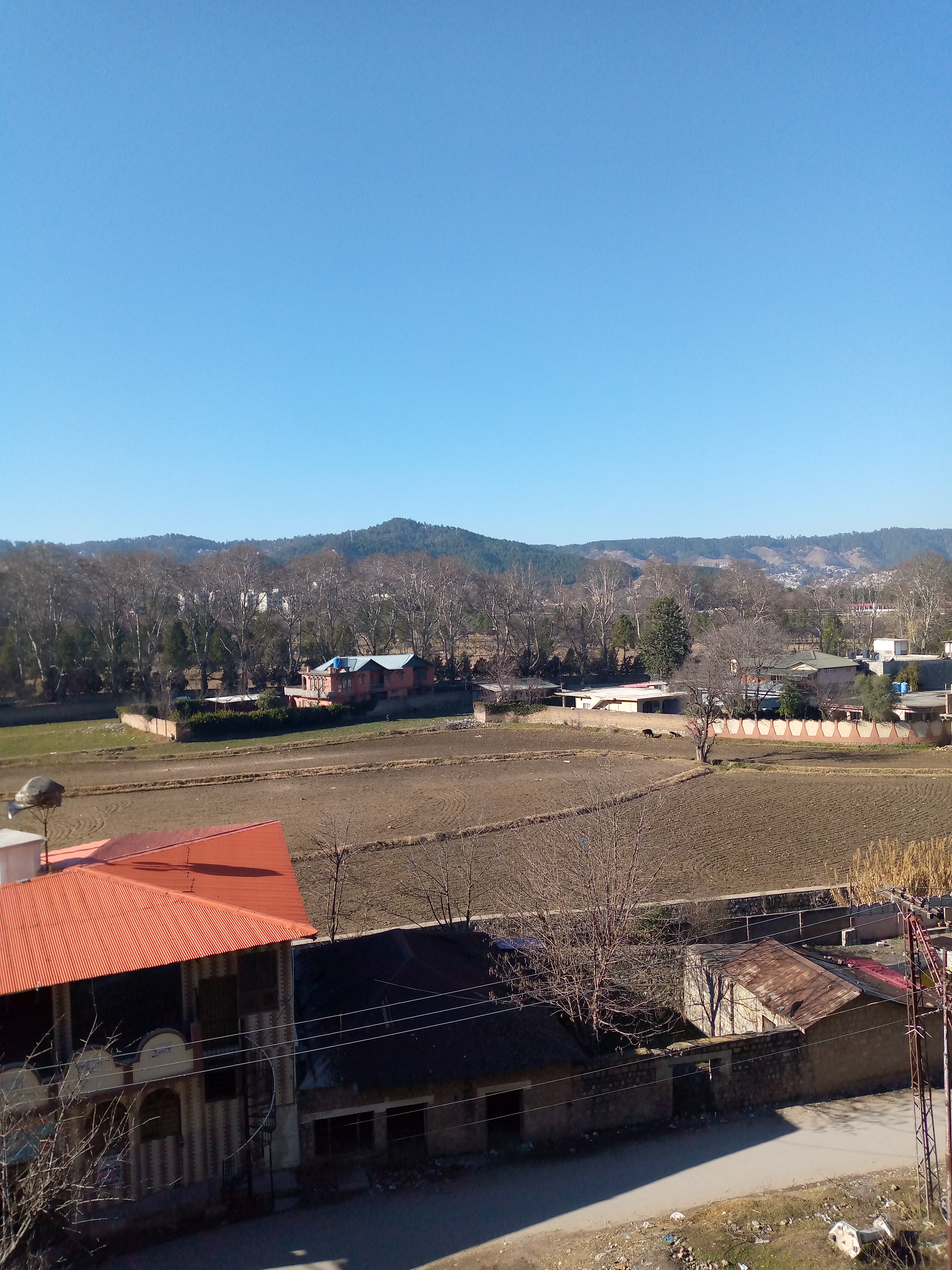 IMG_20210113_141917_978.jpg