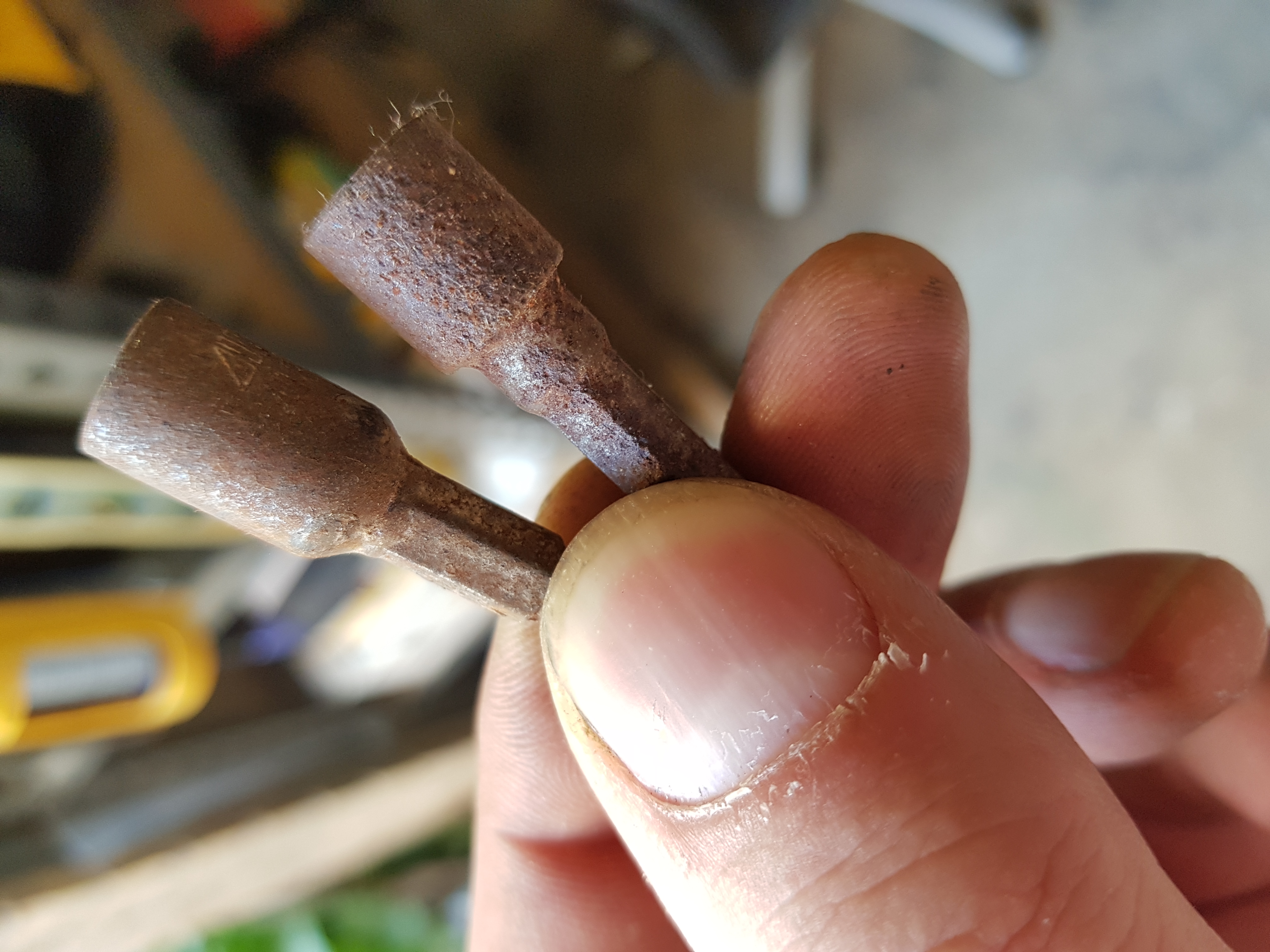 20180928_152642.jpg