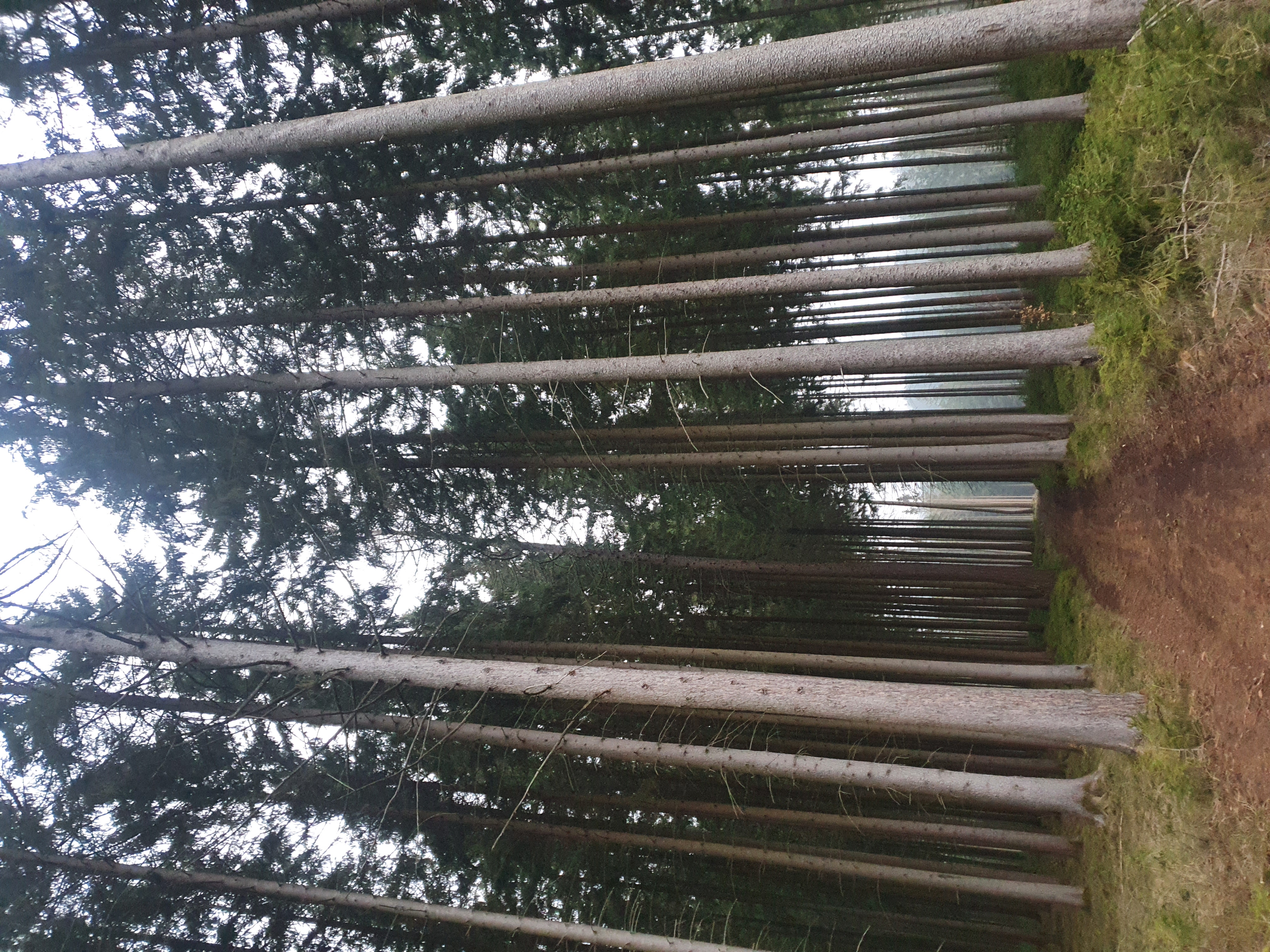 20220317_173100.jpg