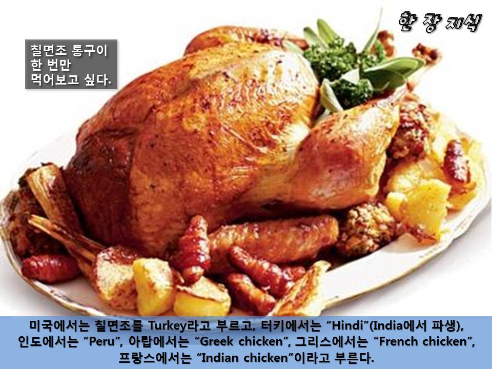 슬라이드78.JPG