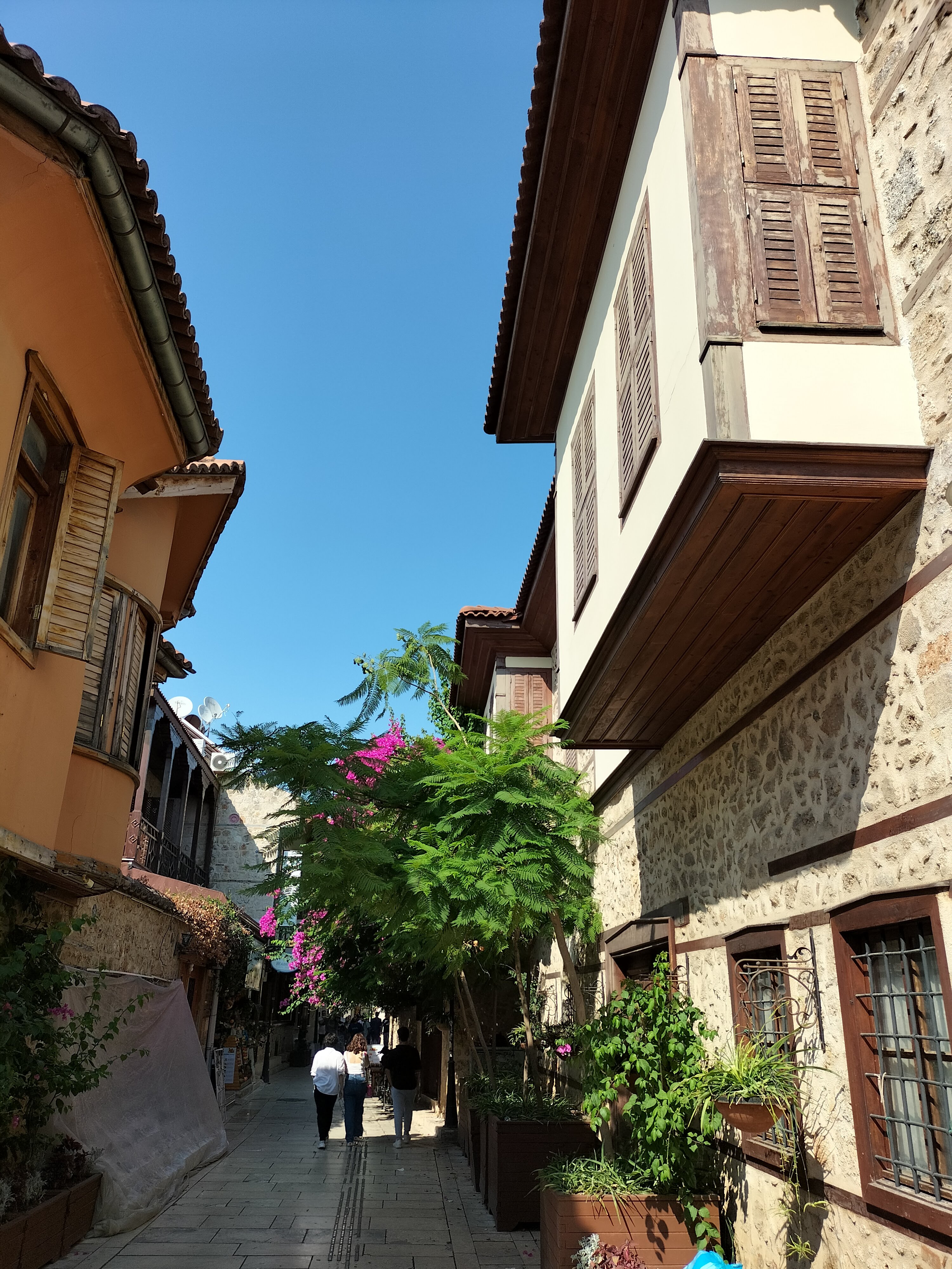 IMG20220807161553.jpg