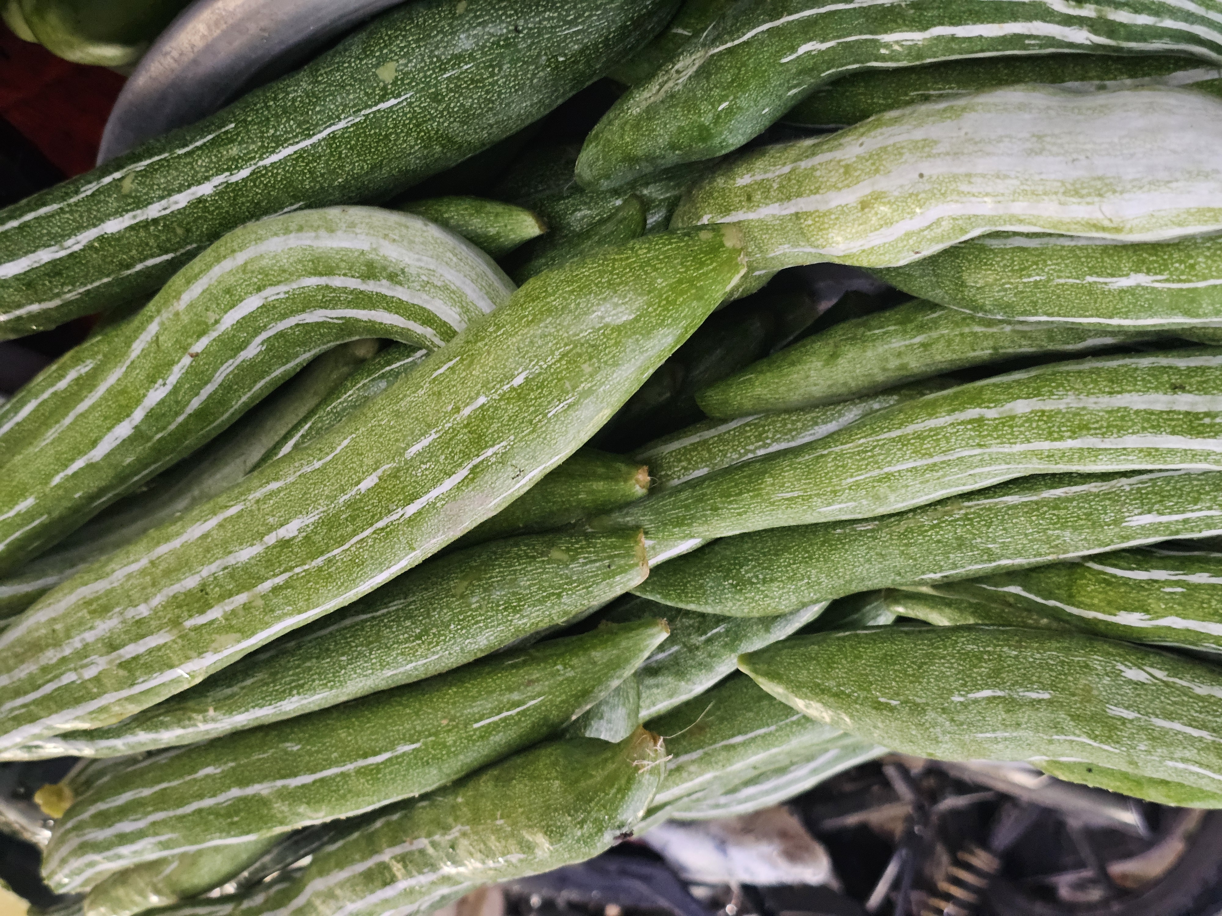 20260707_183426.jpg