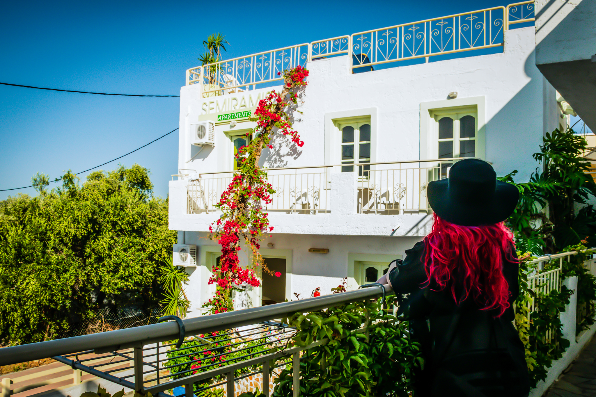 DSC_0230-3.jpg