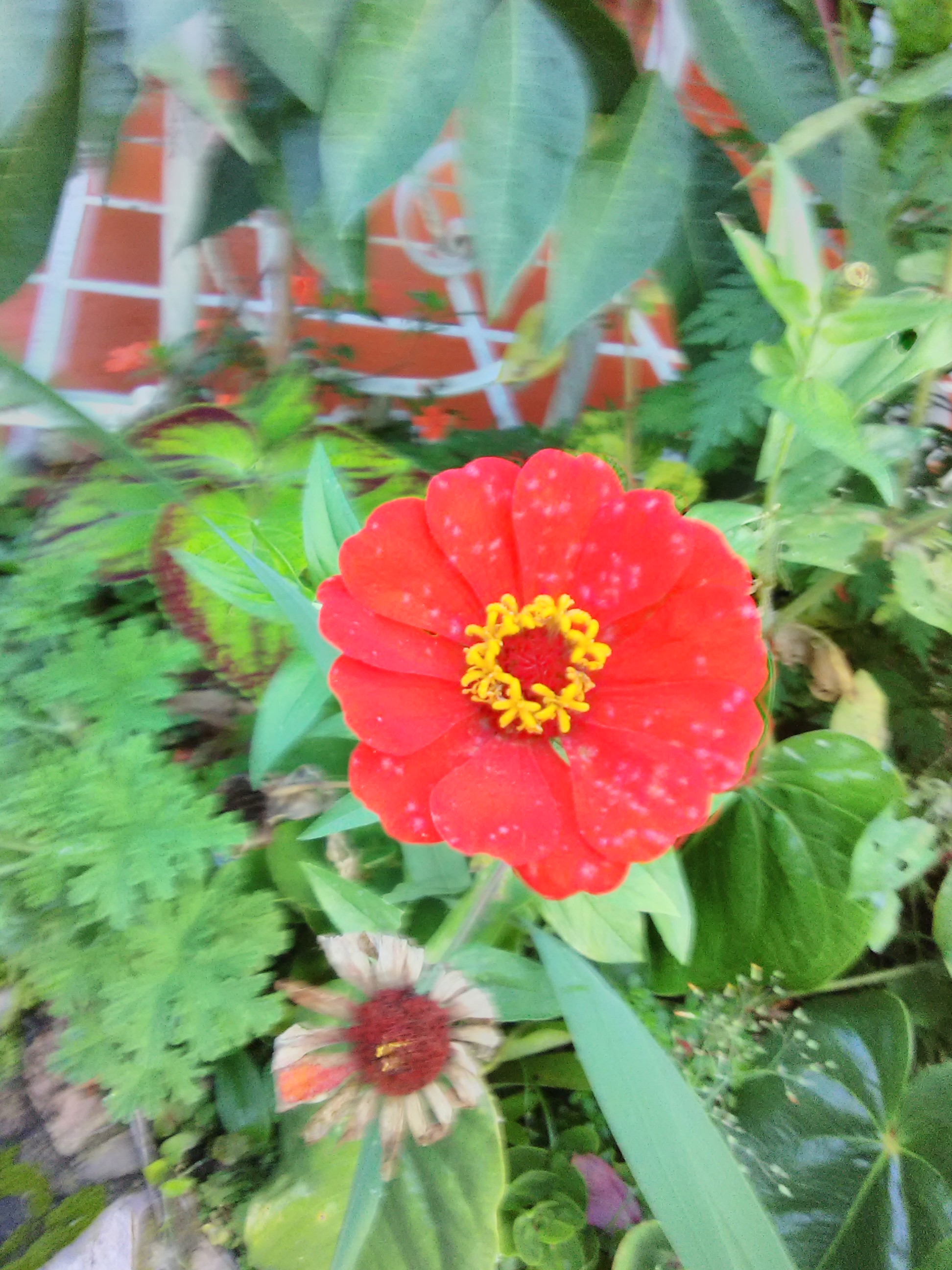 IMG_20211010_174828.jpg