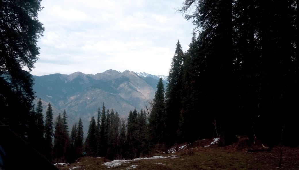 WhatsApp Image 2020-06-16 at 7.04.23 PM (1).jpeg