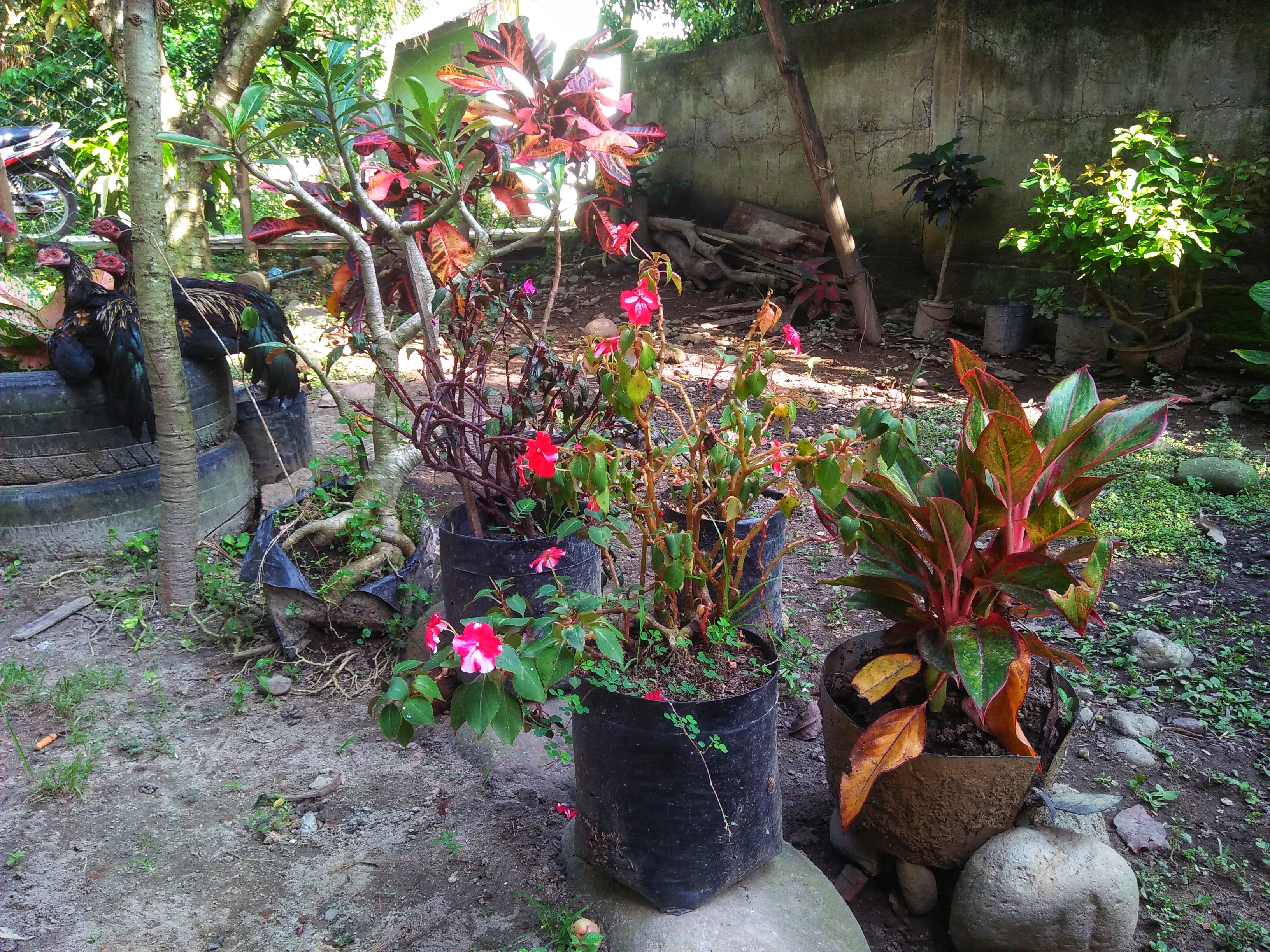 IMG20211225151918-01.jpeg