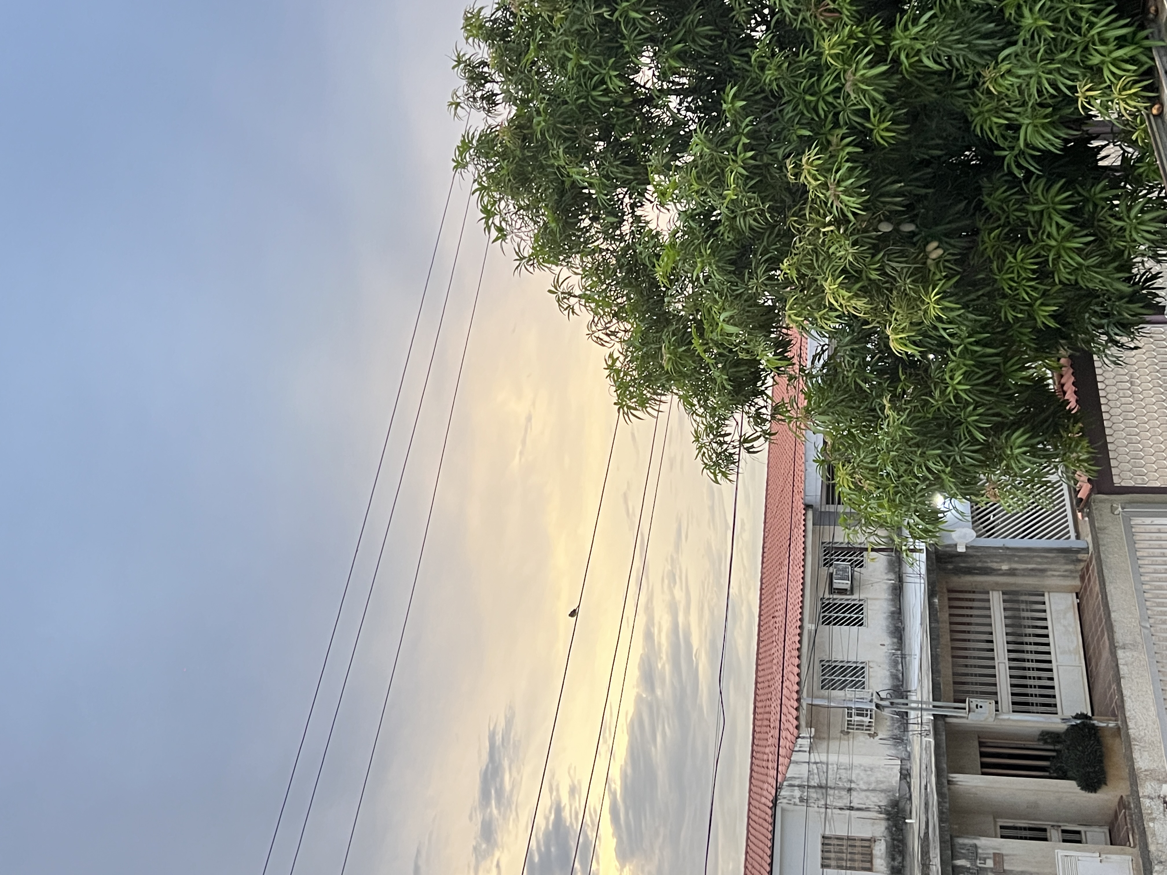 IMG_8153.jpeg