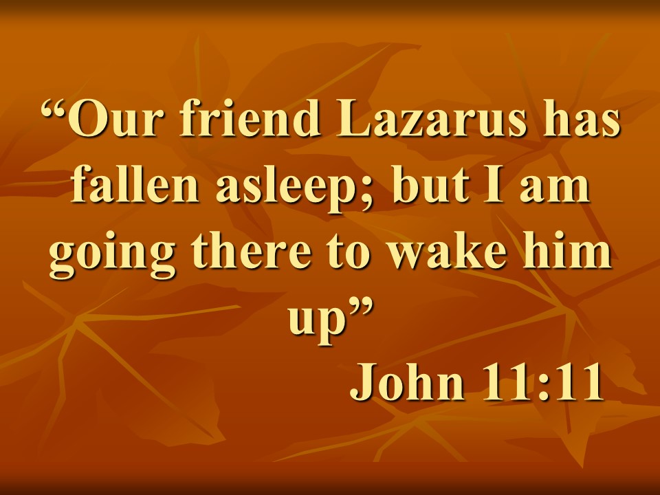 Words of Jesus. Our friend Lazarus has fallen asleep; but I am going there to wake him up. John 11,11.jpg
