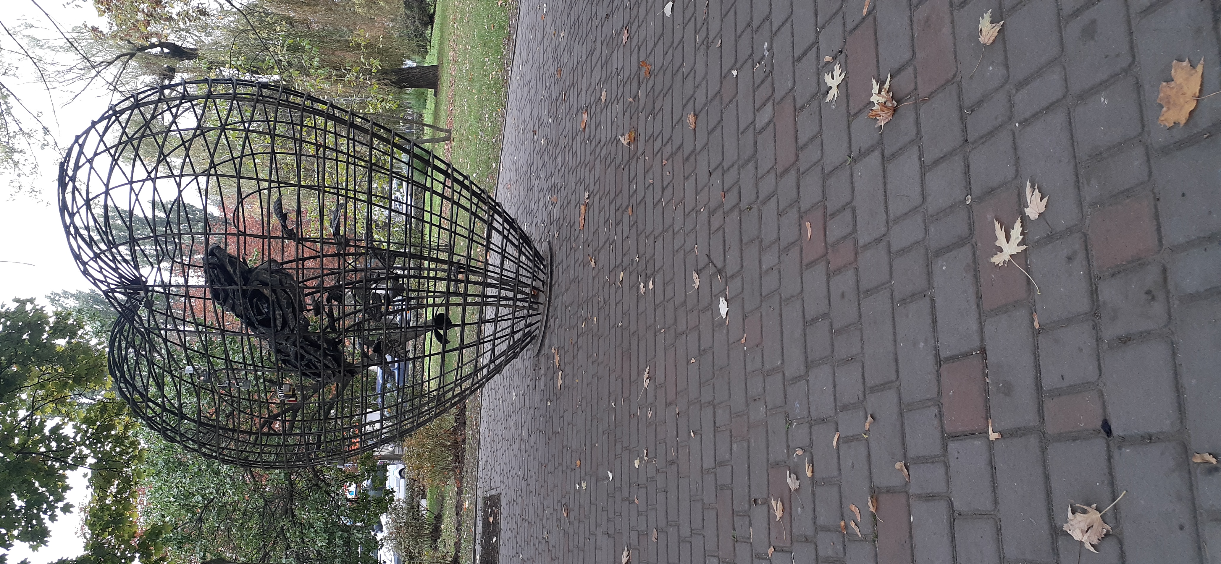 20201017_103736.jpg