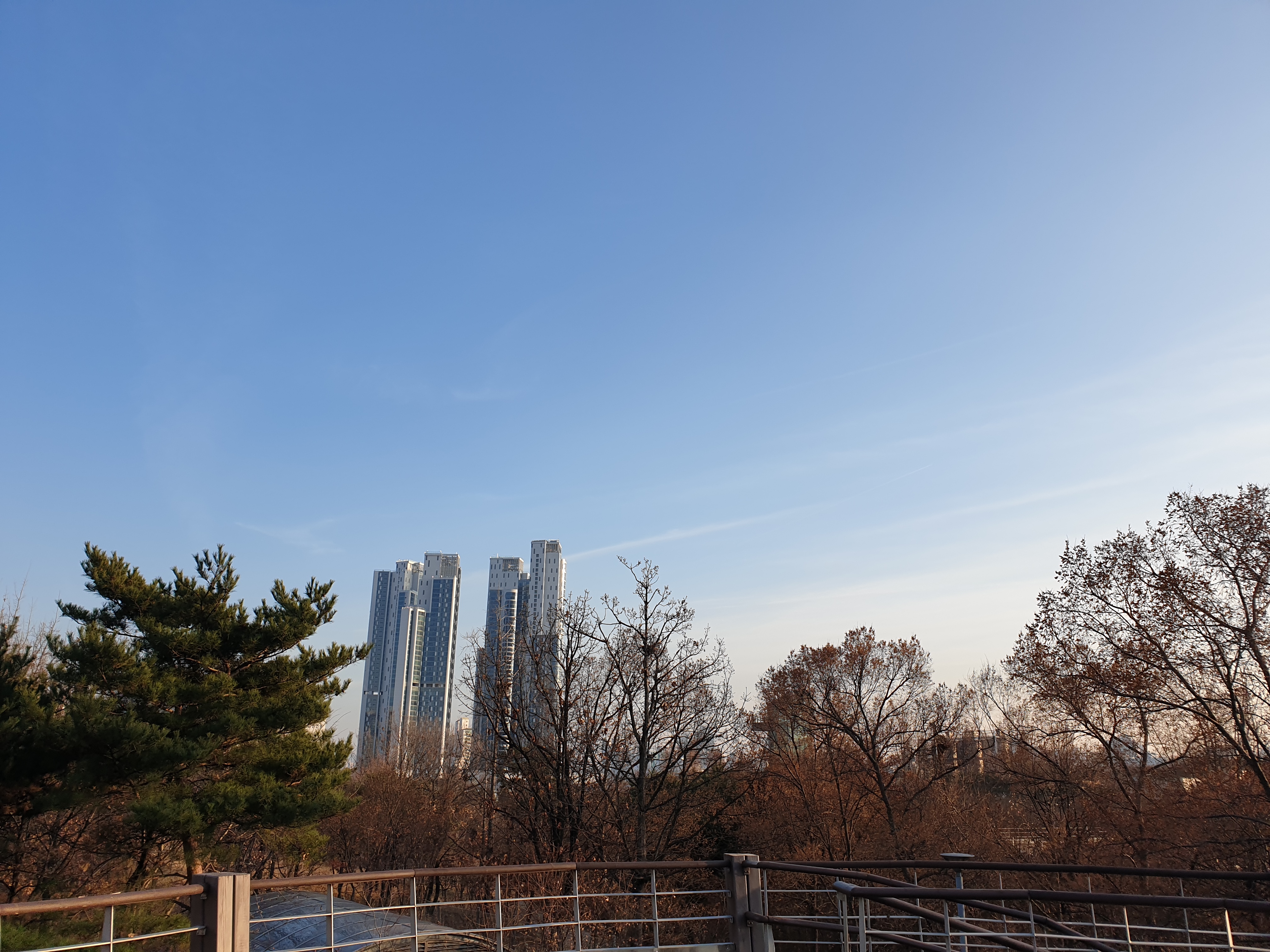 20191214_155439.jpg