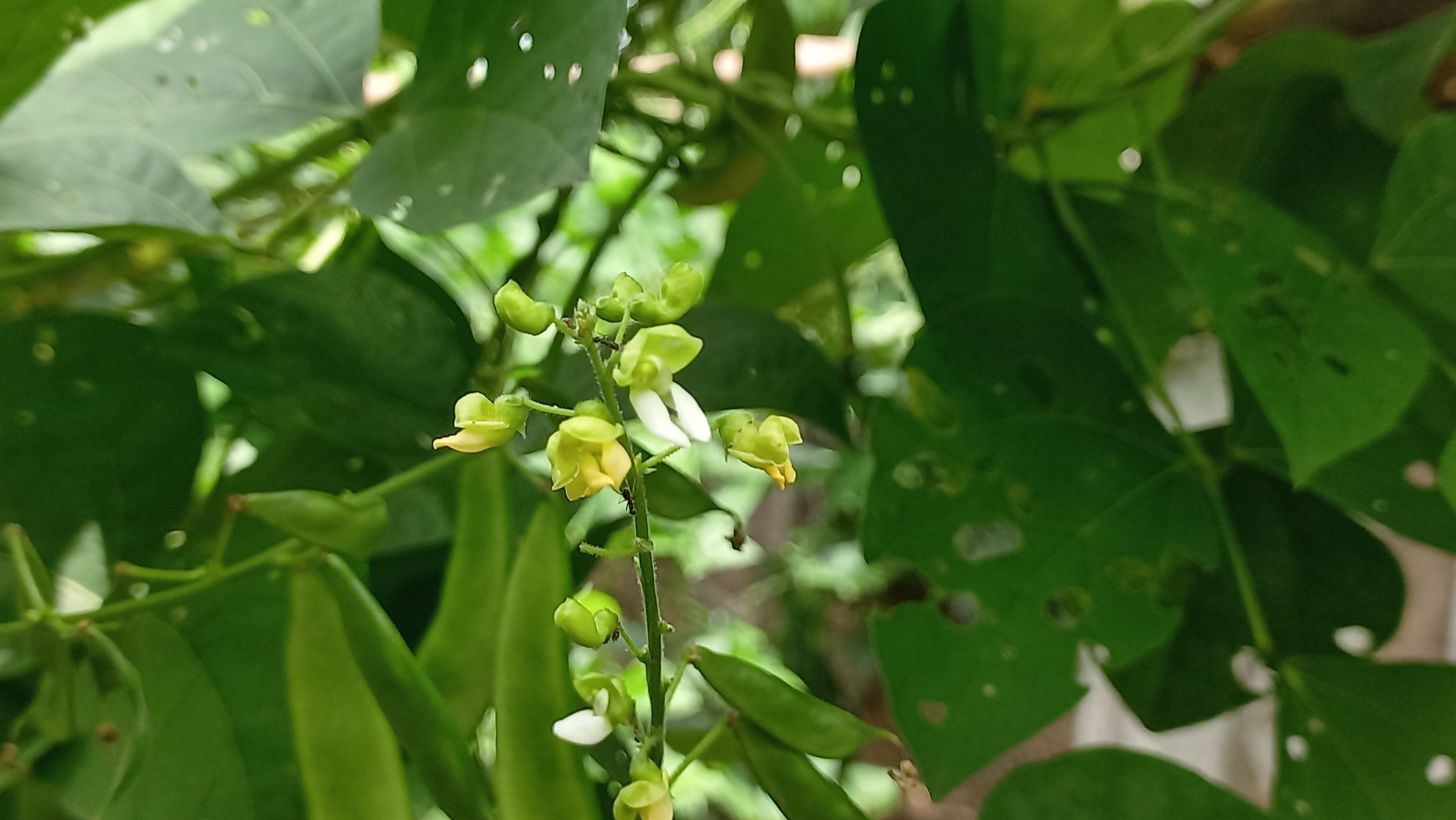 1002372983.jpg